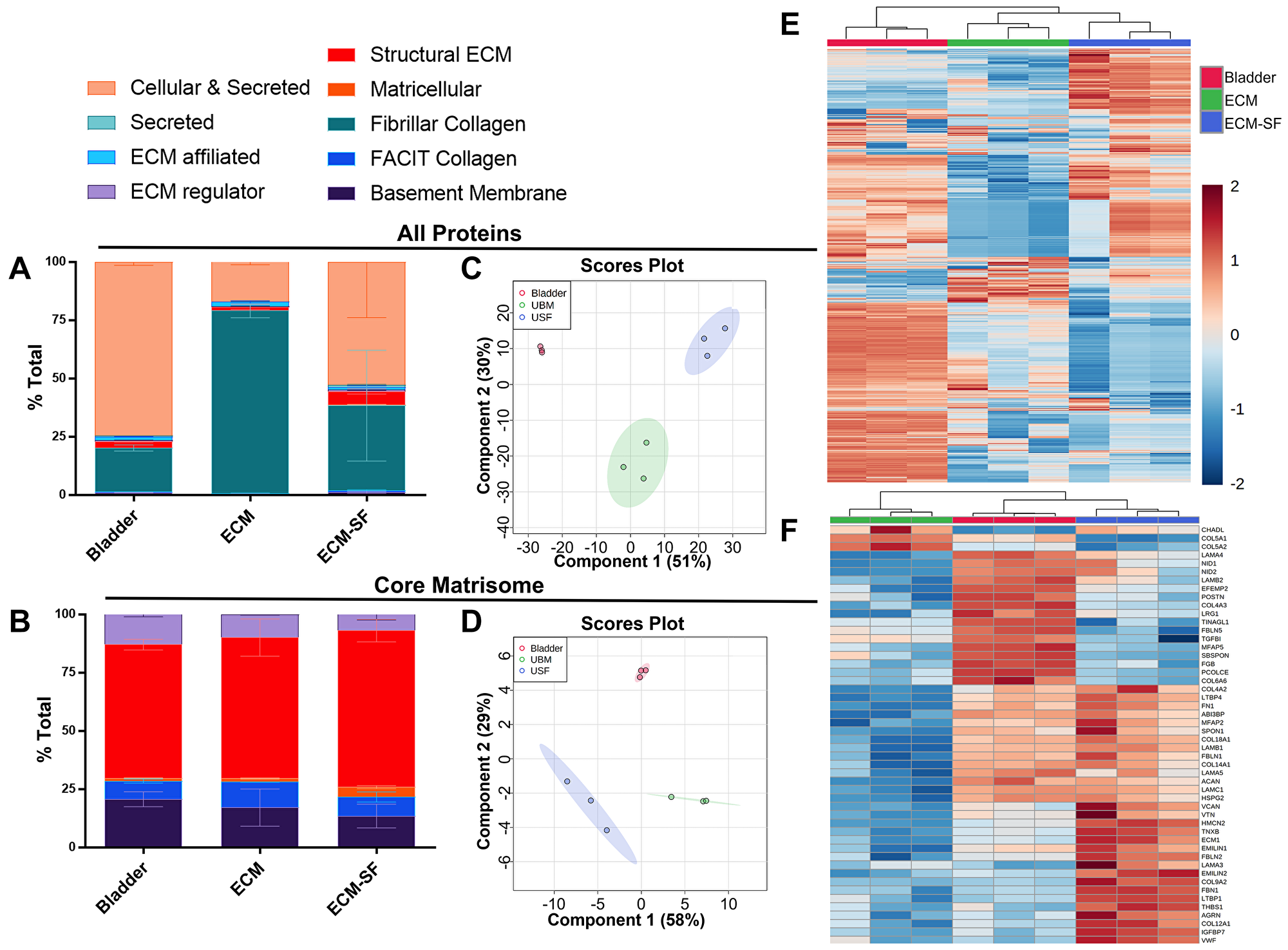 Global and targeted proteomic analysis of bladder, ECM, and ECM-SF