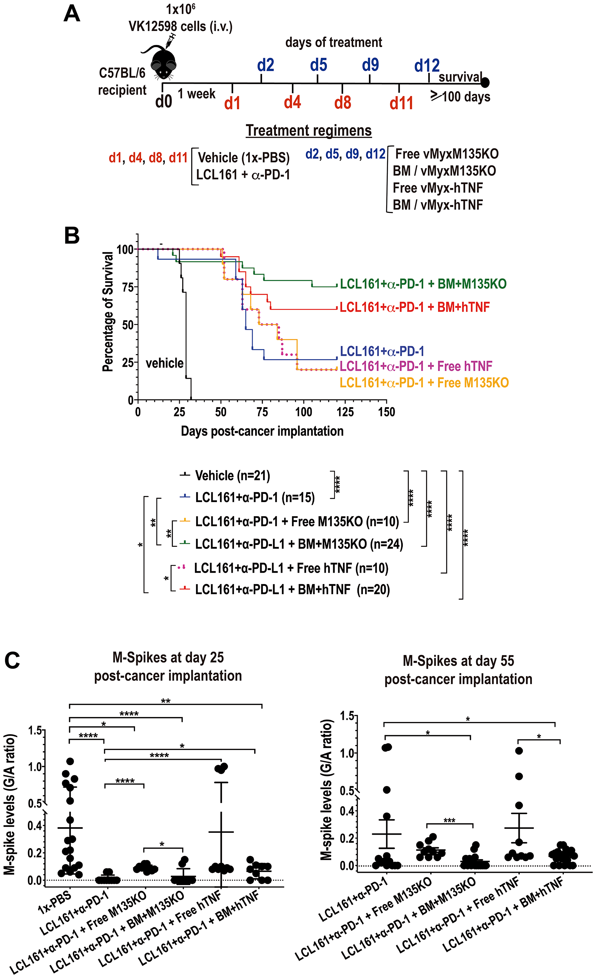 Autologous BM ex vivo preloaded with either un-armed MYXV, or with hTNF transgene armed MYXV synergizes with LCL161 + α-PD-1 against BOR-resistant Vk12598 myeloma cells in vivo