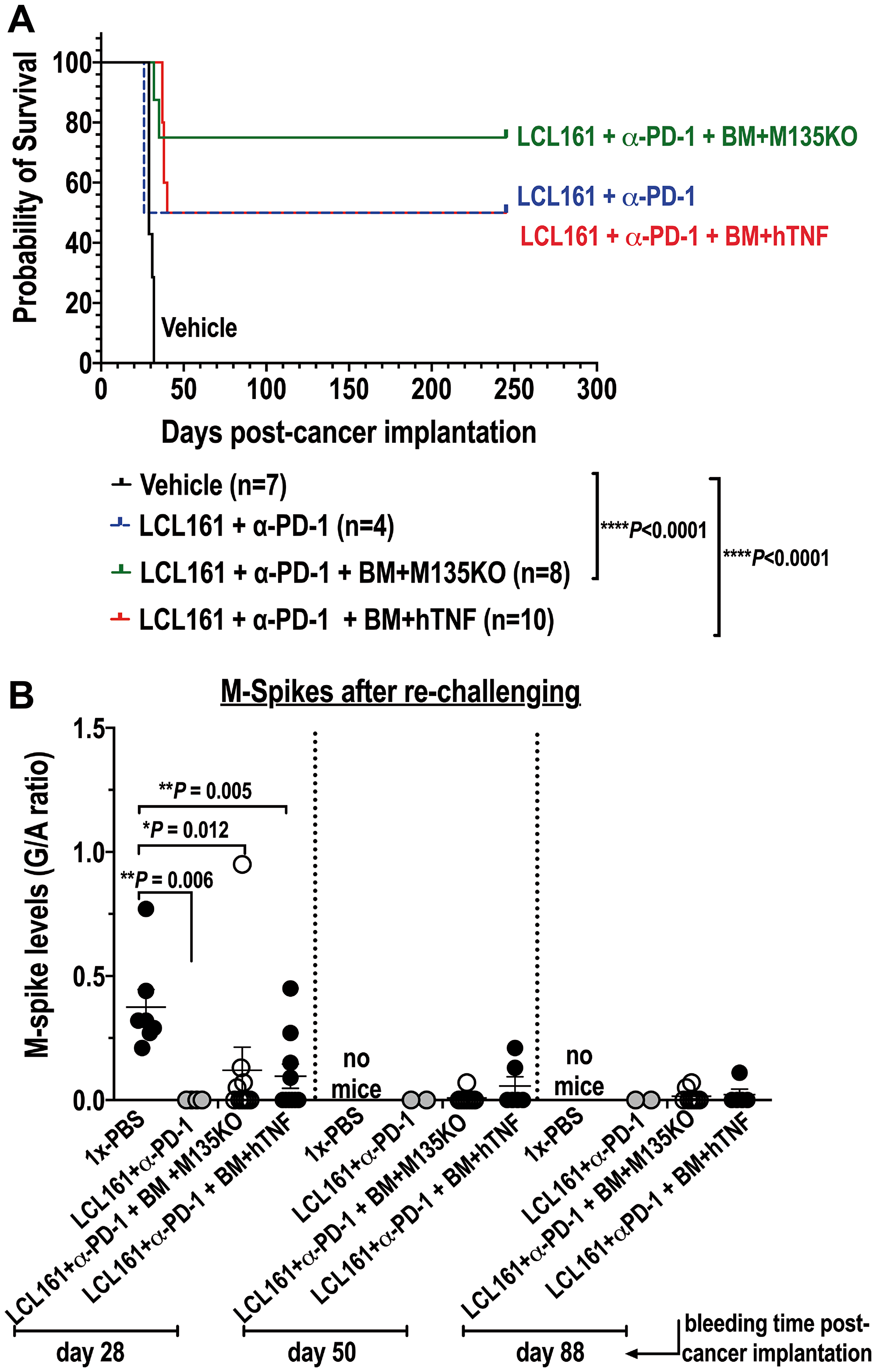 Combination therapy with auto-BM ex vivo loaded with either un-armed or hTNF armed MYXV with LCL161 and α-PD-1curative to mice seeded with BOR-resistant Vk12598 cells