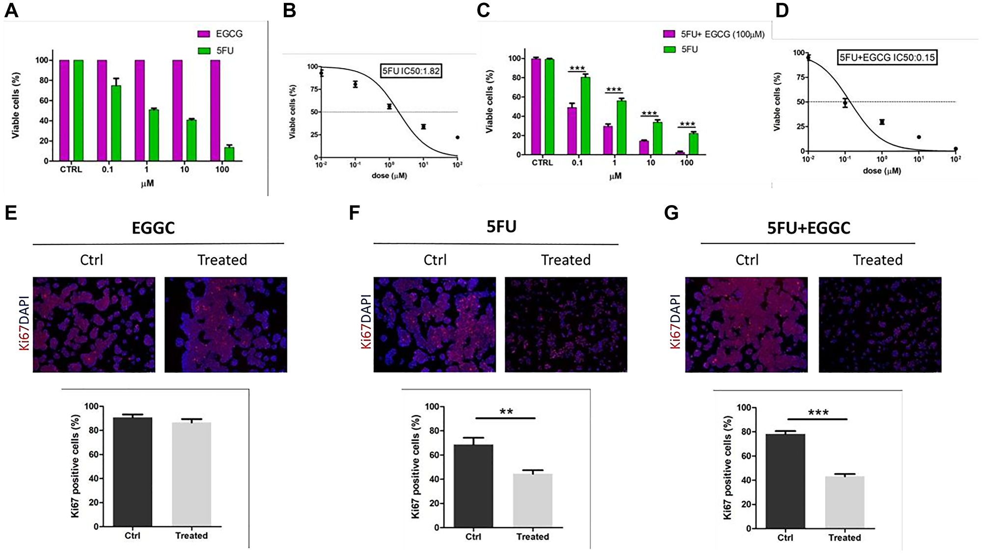 Effect of 5FU and EGCG treatments on HT29-cells