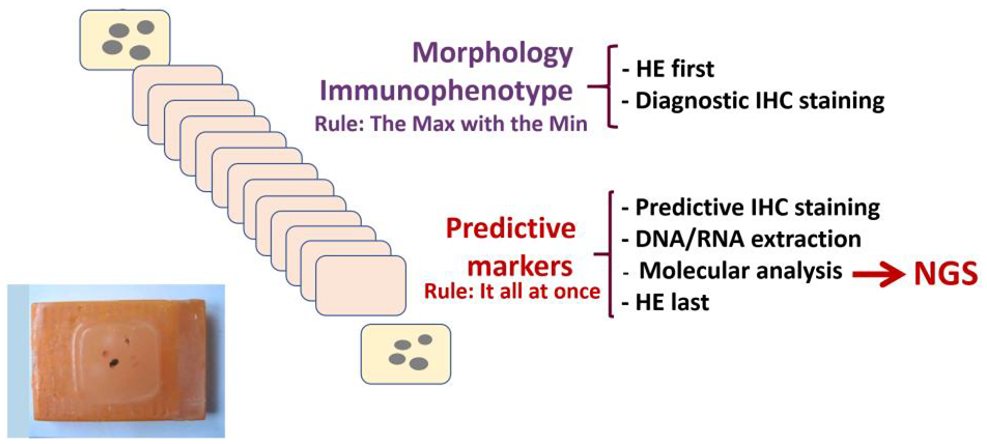 Optimization of the pre-analytical workflow for paraffin-embedded biopsy/cytology material