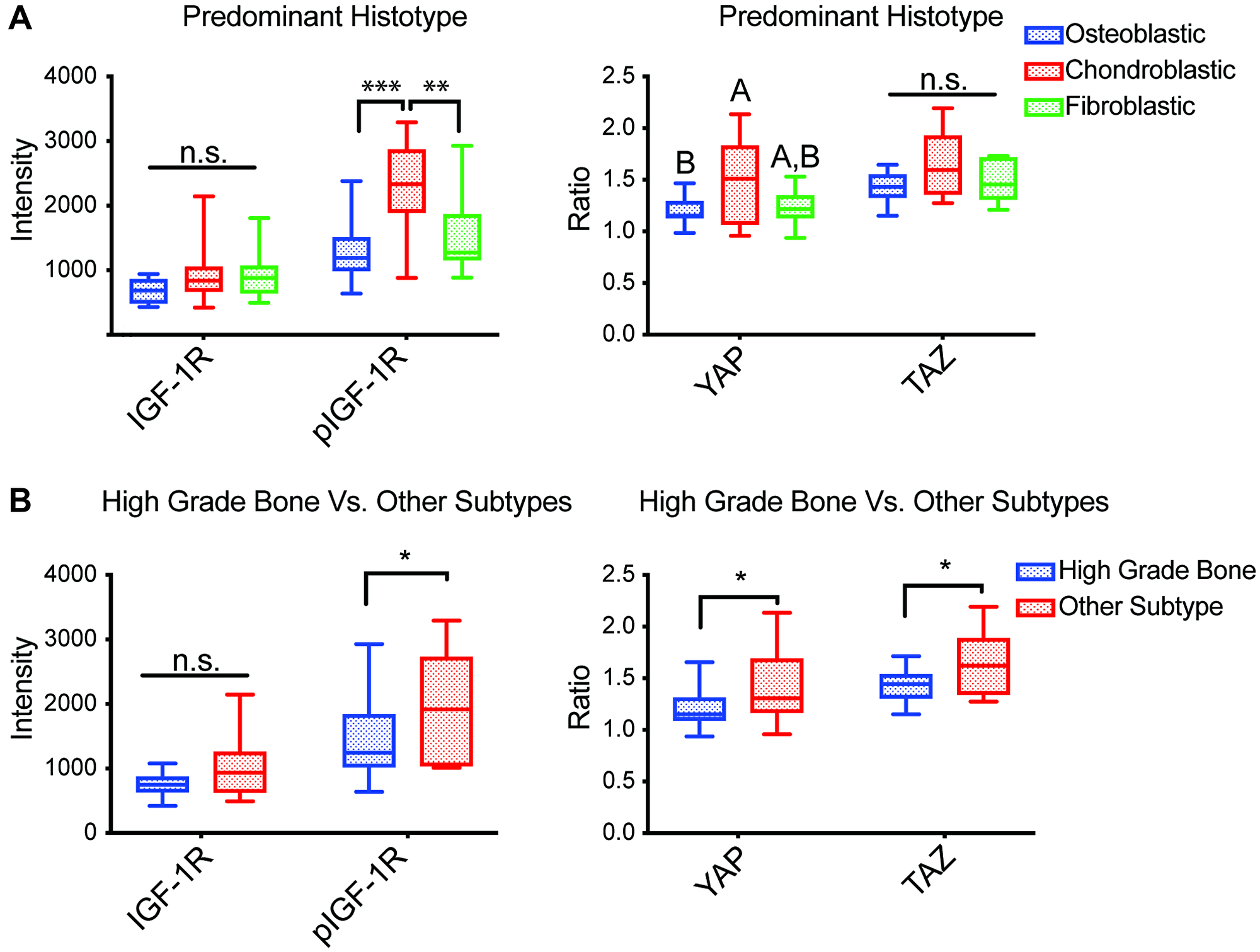 Associations between TMA staining and histopathological aspects of tumors