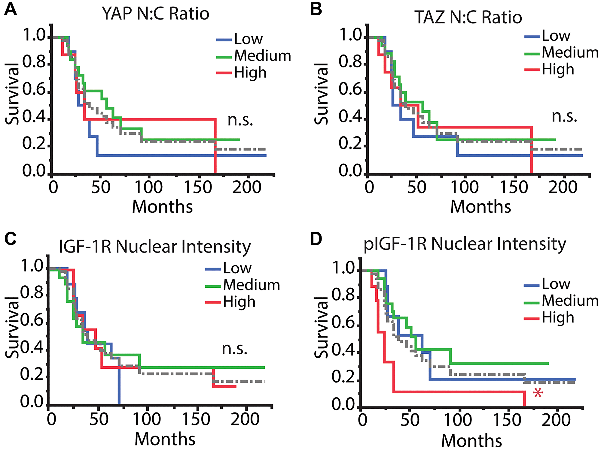Kaplan–Meier survival analysis of tumor markers