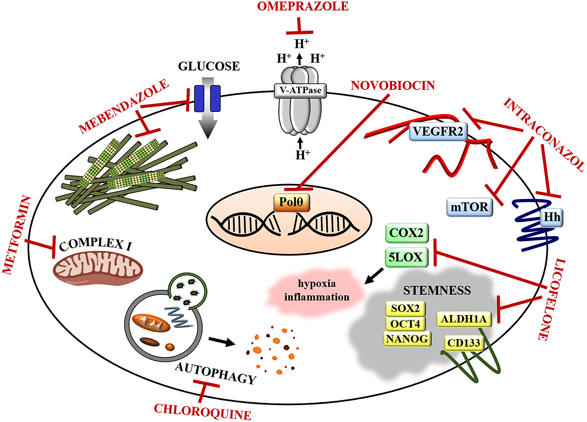 Repurposed drugs targets in ovarian cancer