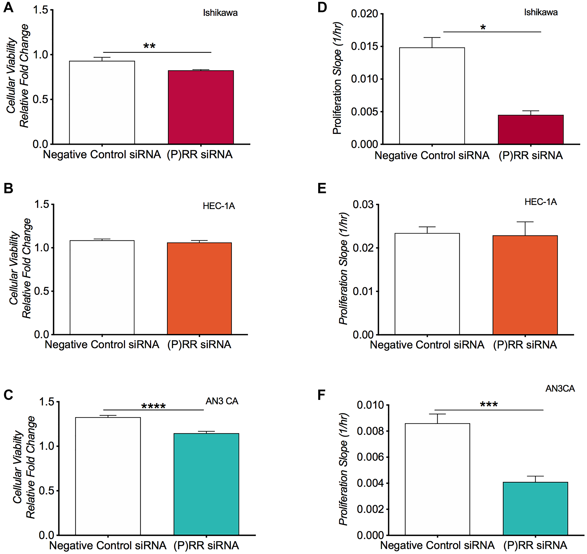 Analysis of cellular viability and cellular proliferation following siRNA knockdown of ATP6AP2 in the endometrial epithelial cancer cell lines