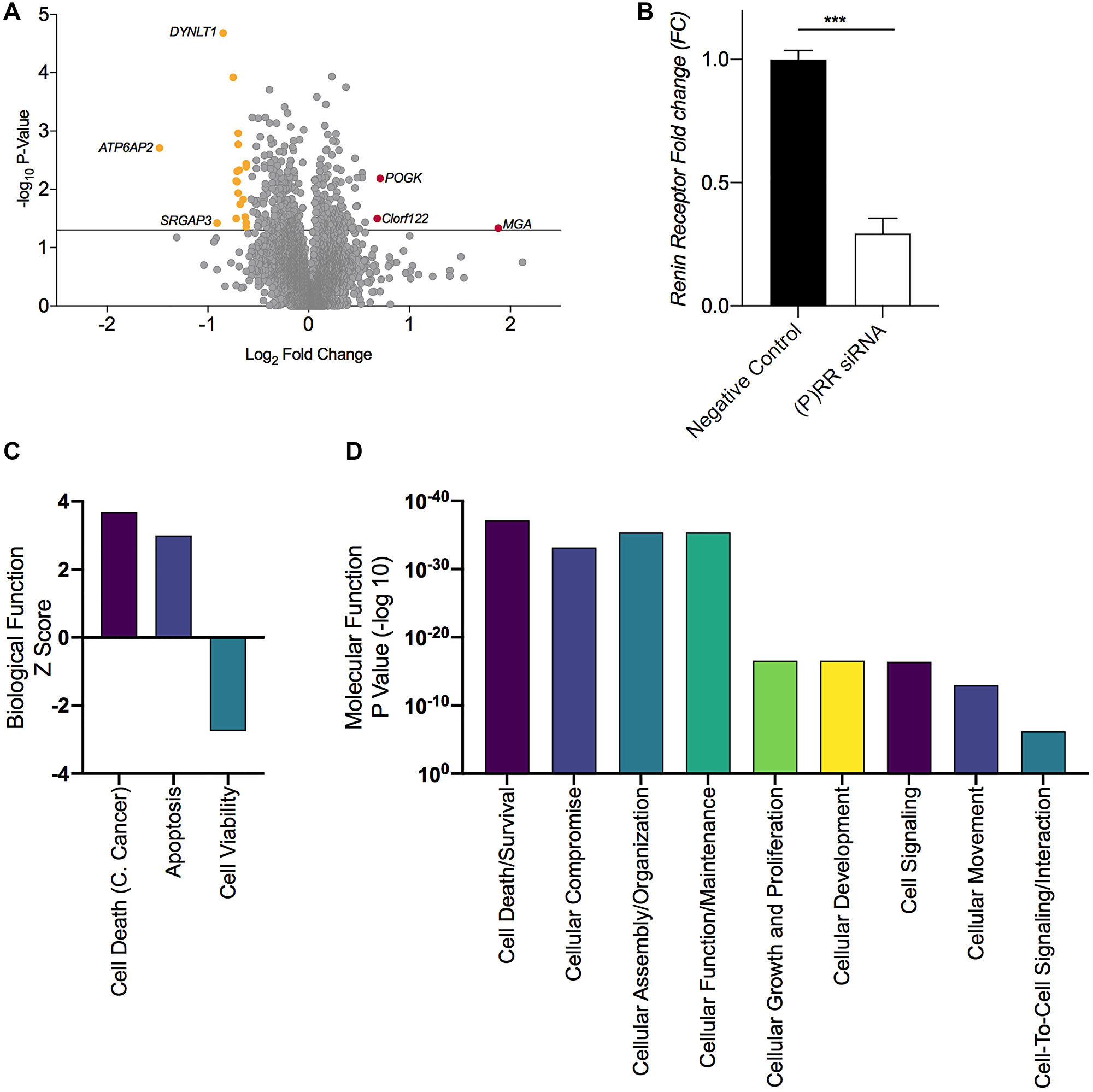 Proteomic assessment of the functional consequences of ATP6AP2 and Gene ontology based functional annotation