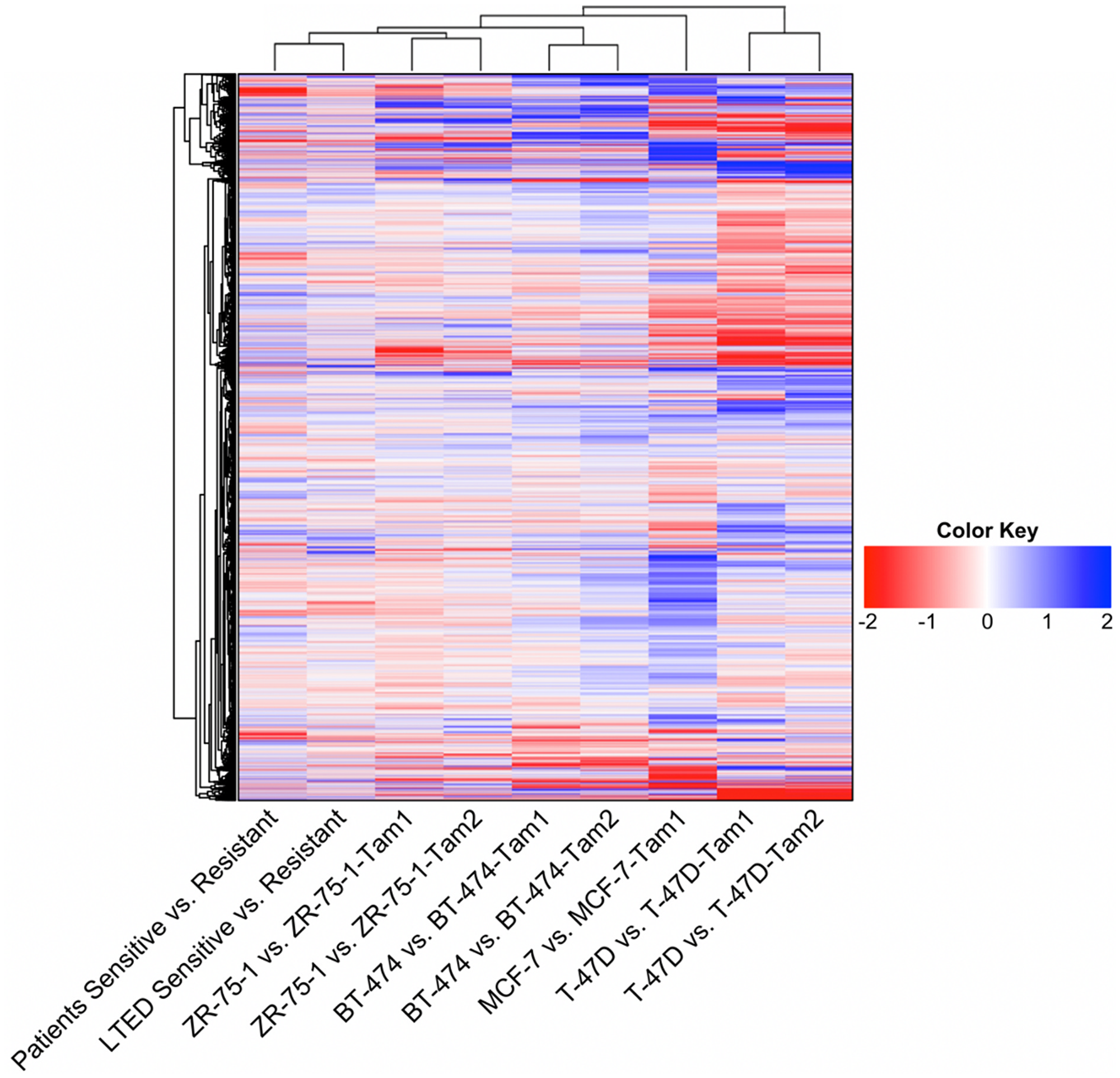 Heatmap of the global gene expression patterns between cell-based models of endocrine resistance and patient data