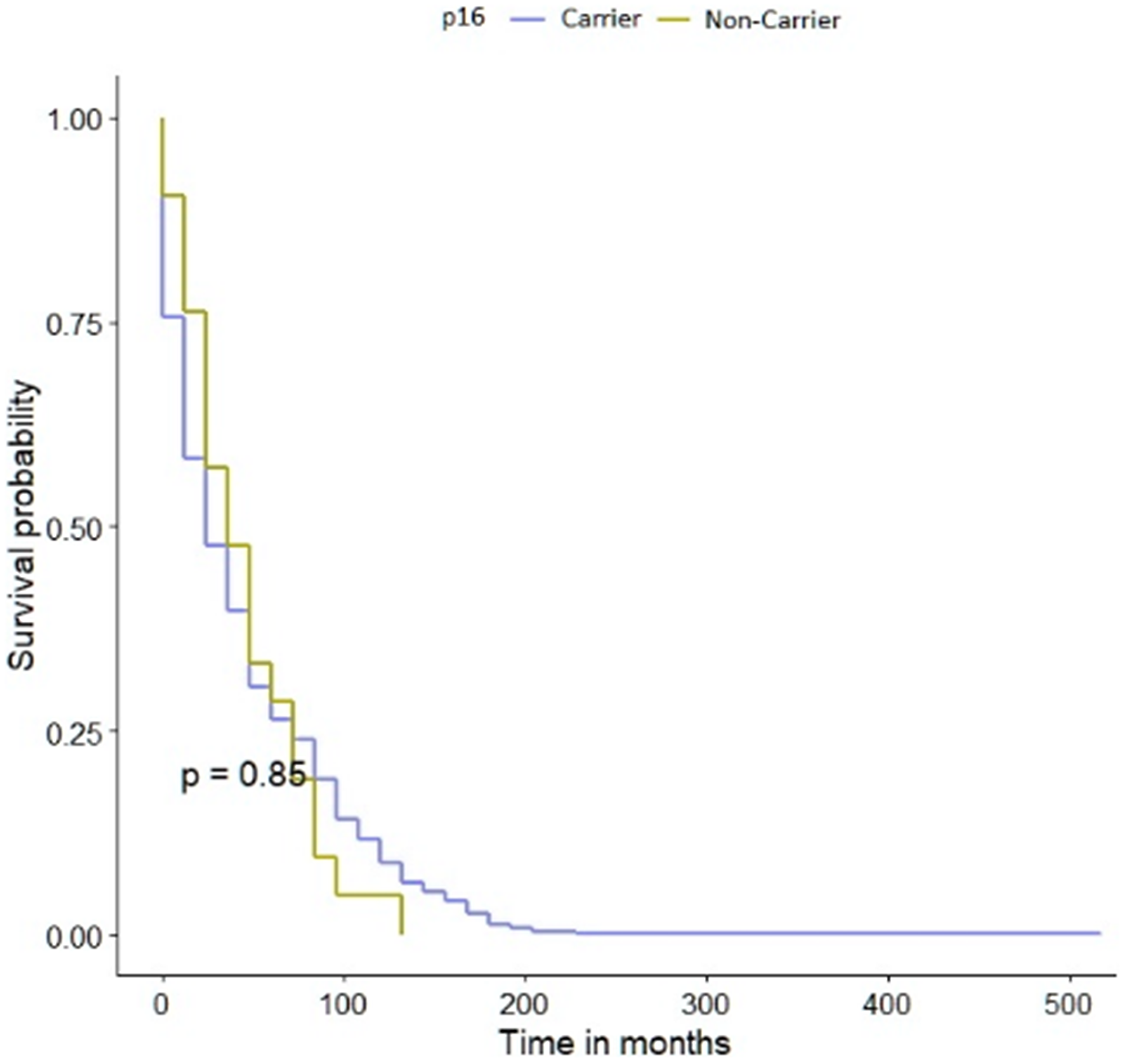 Kaplan-Meier survival curves of bladder cancer patients with CDKN2A polymorphism and -negative sub-cohorts