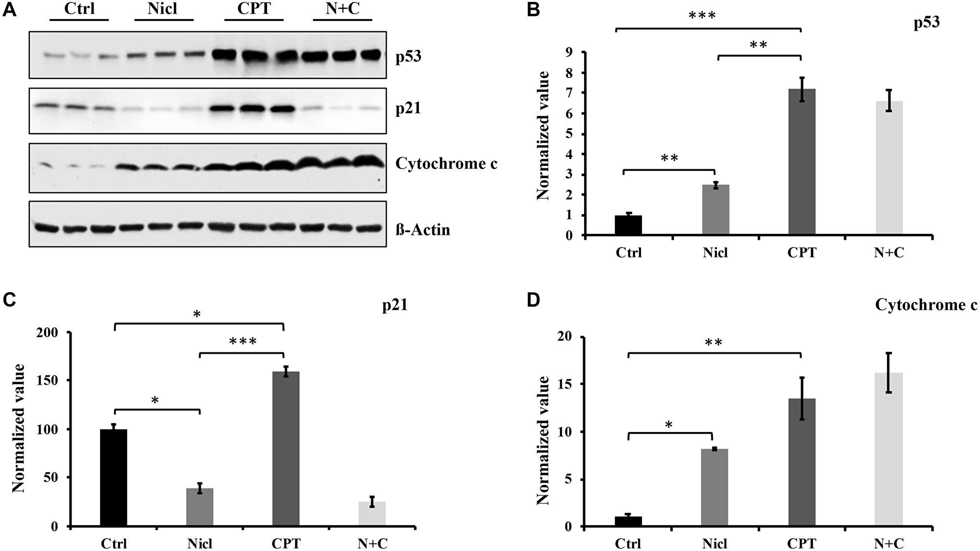 Niclosamide enhances p53 protein and cytochrome c expression but suppresses p21 expression