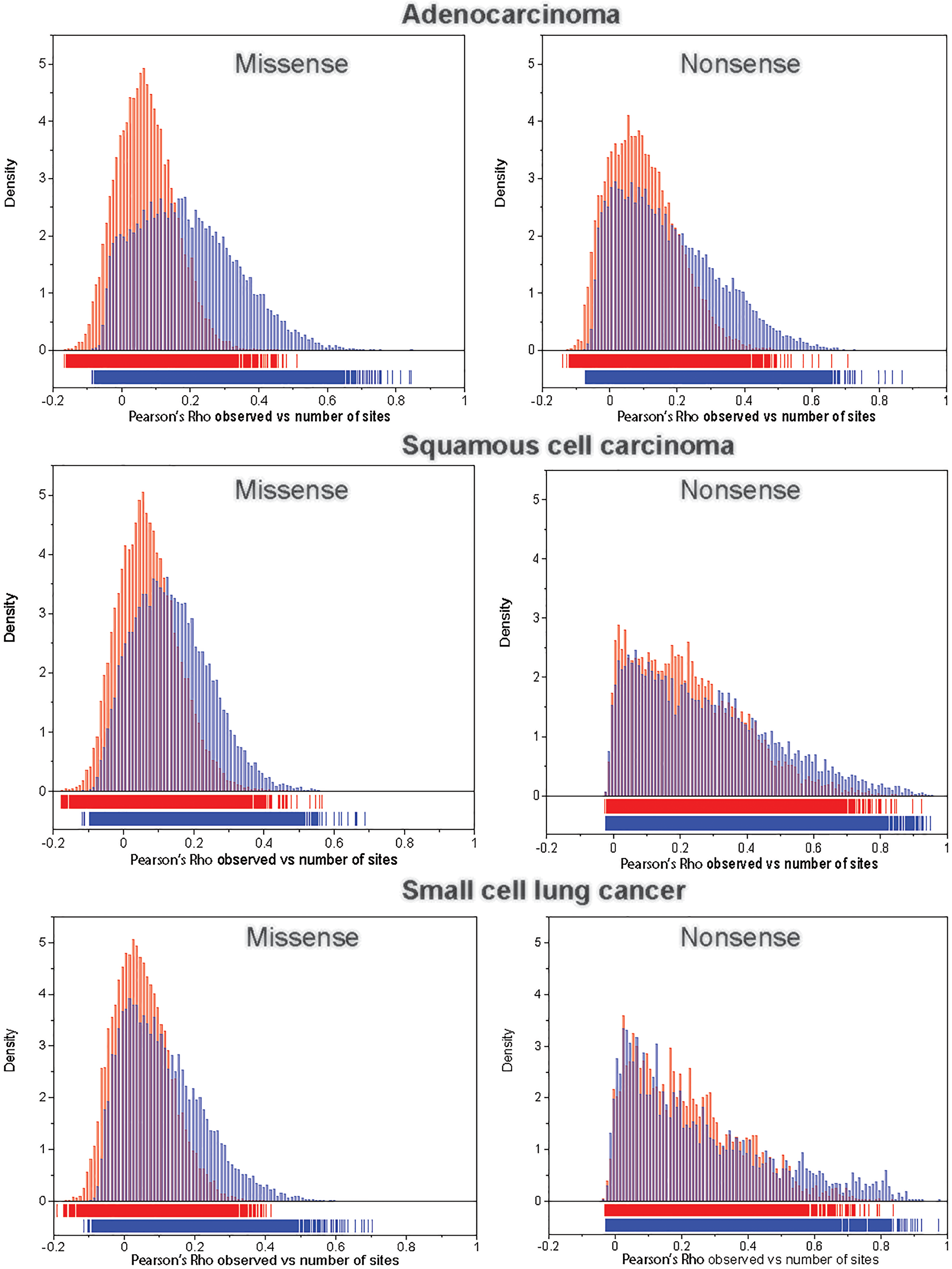 The distribution of Pearson’s correlation coefficient, ρ, between the observed number of mutations and the number of potential sites (red bars) and between the observed number of mutations and the number of potential sites weighted (multiplied) by the corresponding mutation rate (blue bars), for missense (left panel) and nonsense (right panel) mutations across 192 NCD-SNSs