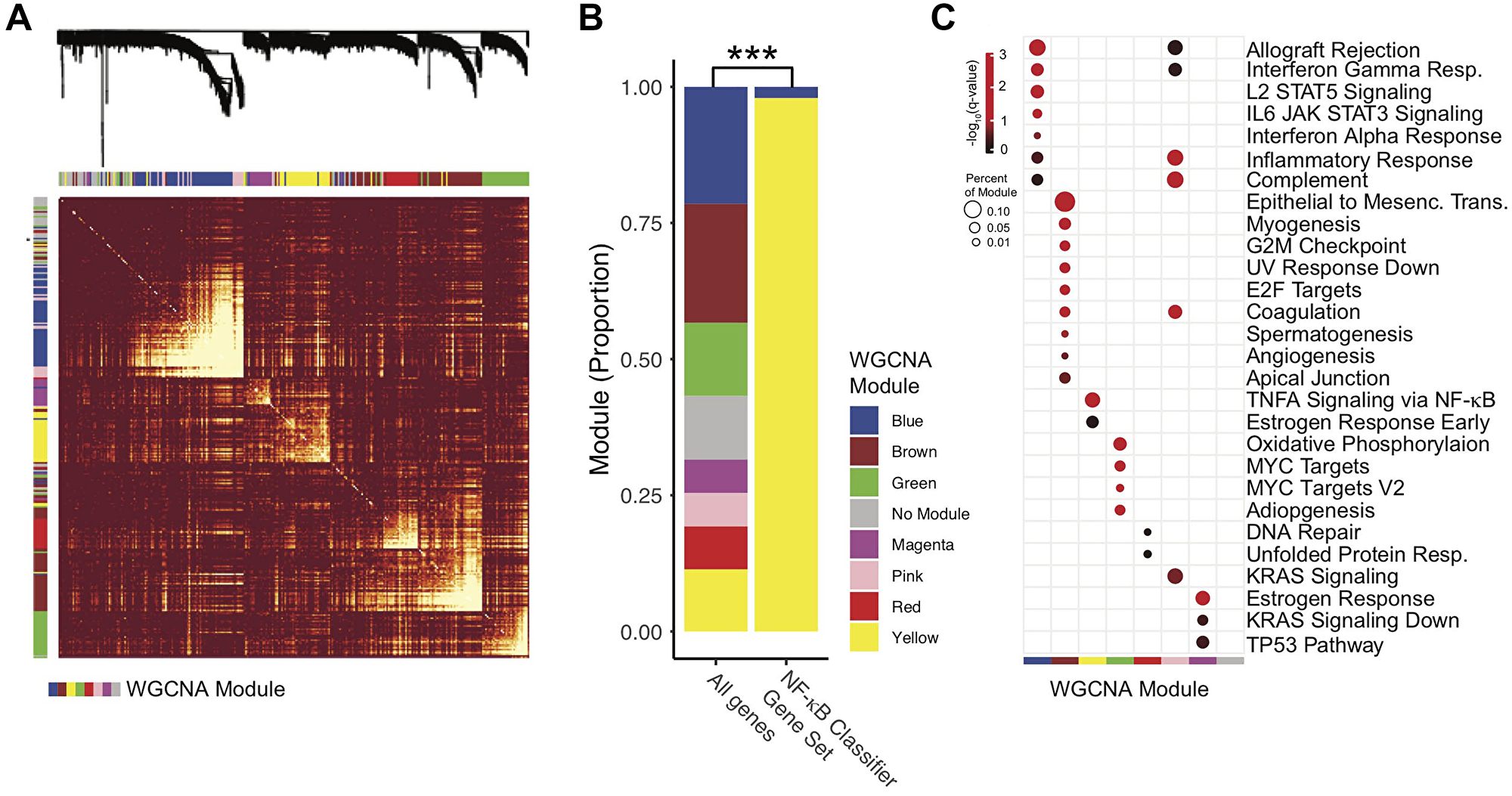Characterization of the NF-κB activity classifier genes with weighted gene correlation network analysis (WGCNA)
