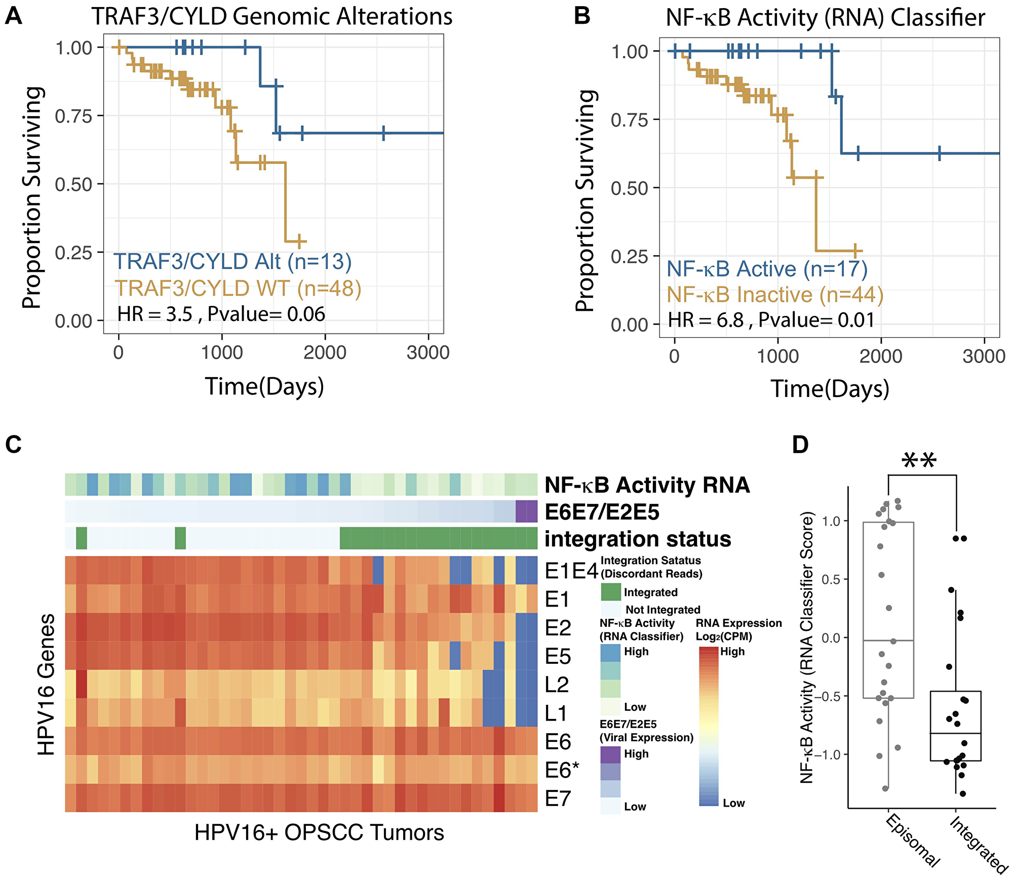 NF-κB activity classifier correlates with patient outcomes and viral integration status