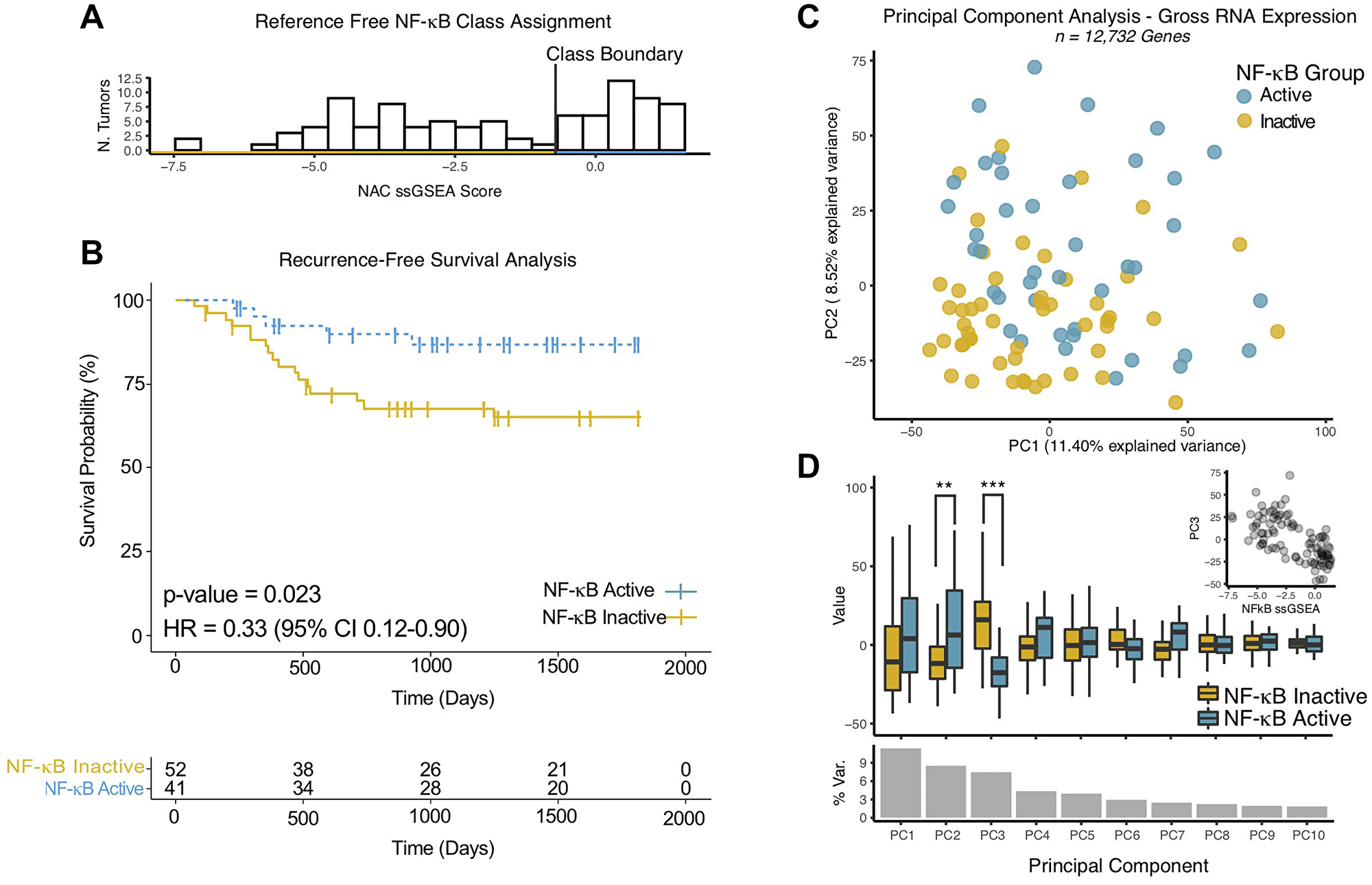 NF-κB activity classifier gene expression is cohesive and correlates with patient outcomes in an independent validation cohort