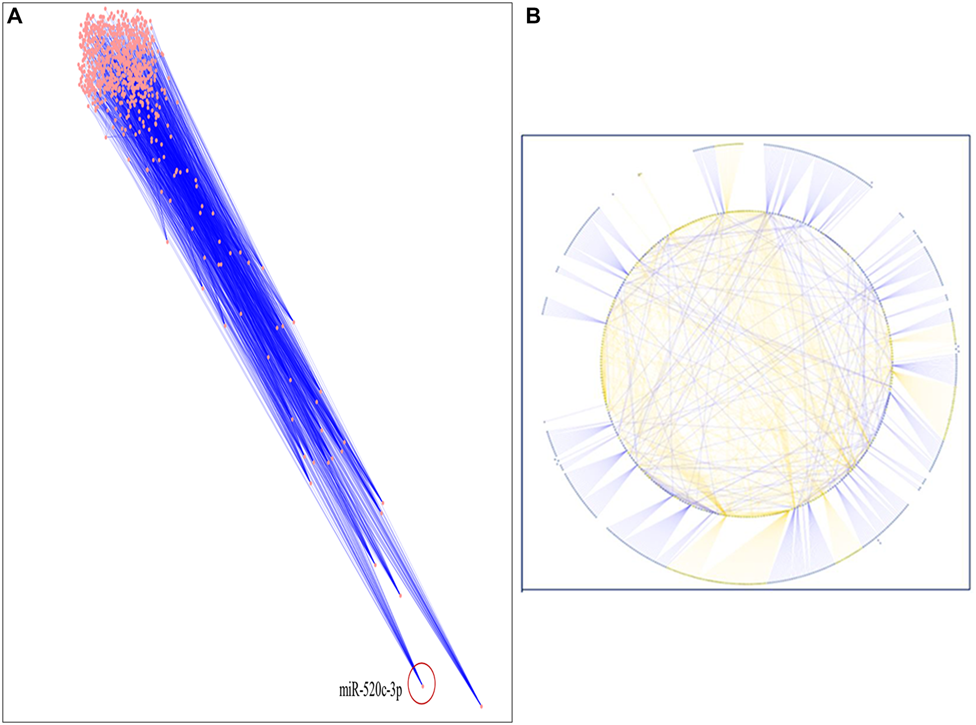 (A) The inter-regulatory miRNA network after running simulated annealing algorithm showing placement of highly clustered miR-520c-3p. (B) The simulated network in circular layout demonstrating the strength of chosen miRNAs over the whole network.