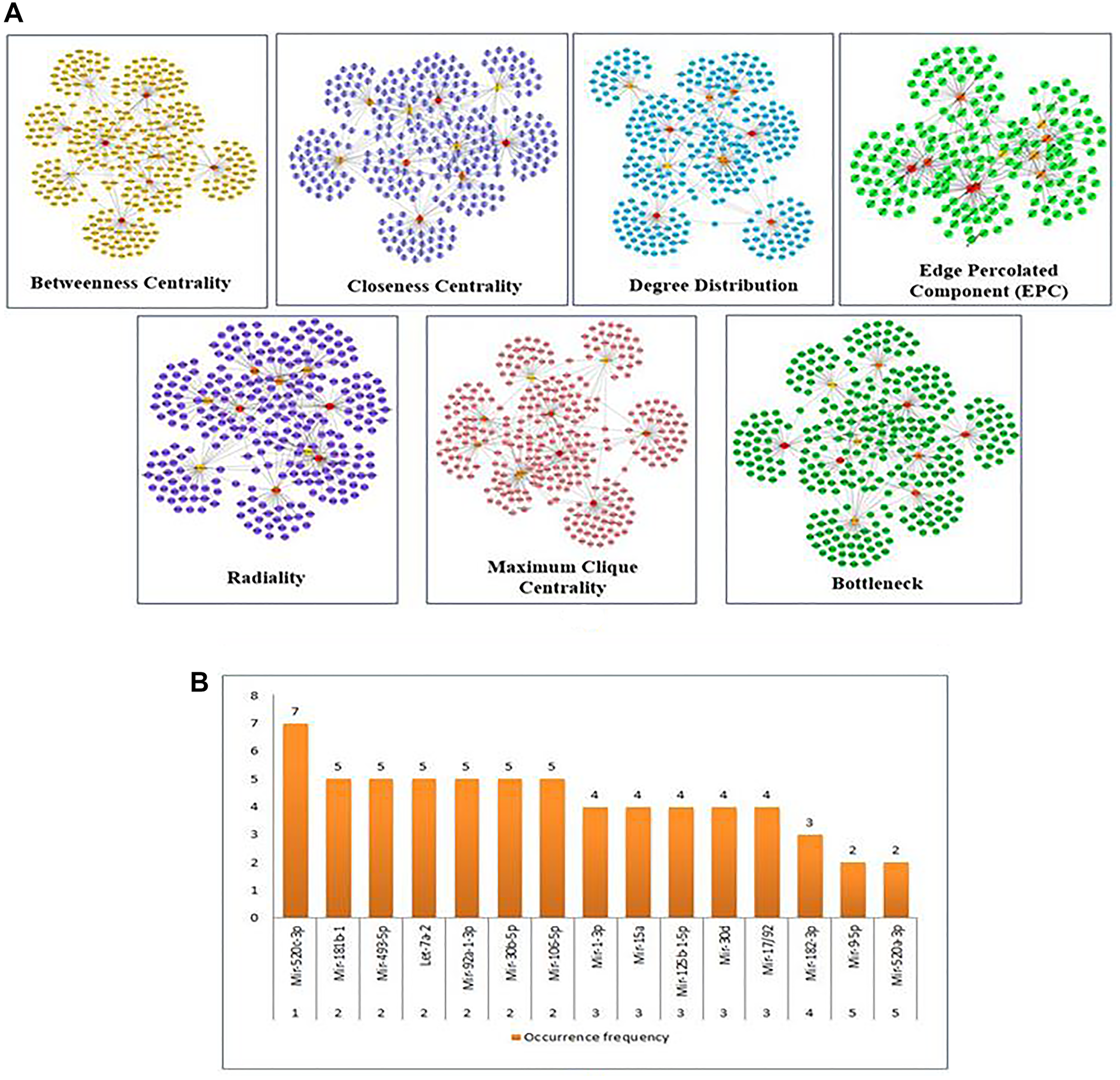 (A) Substantial modules based on Betweenness centrality; Closeness centrality; Degree Distribution; Edge percolated Component (EPC); Radiality; Maximum Clique Centrality (MCC); and Bottleneck were identified from the leading network. From top to bottom, red to light yellow in modules denotes the rank. (B) The top 5 ranked miRNAs are graphically represented based on their frequency of occurrence in the 11-scoring method of CytoHubba.
