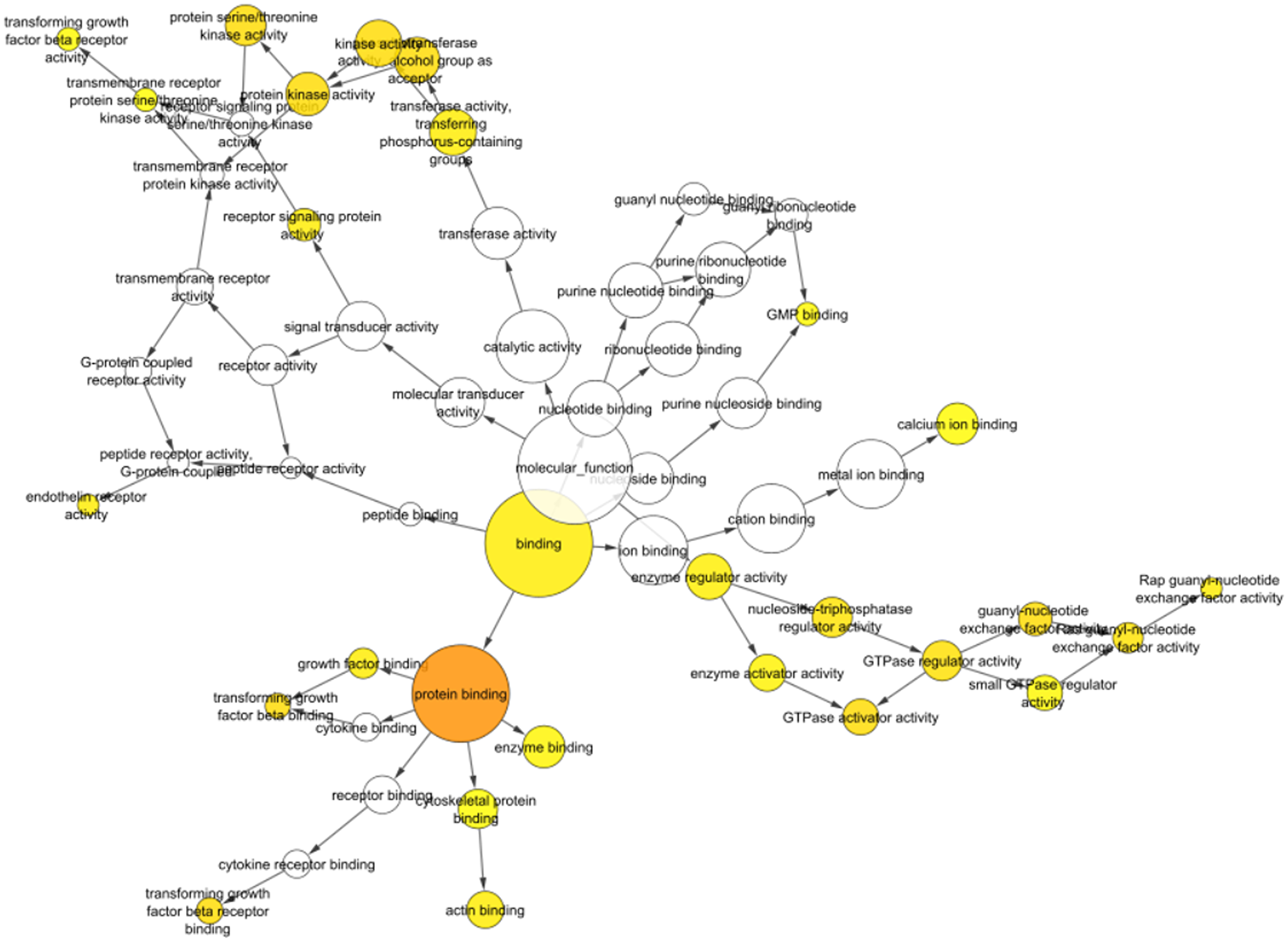 Bingo visualization of identified miRNAs shows significant involvement in protein binding activity, signal transduction, GTPase activity, cytokine binding, transforming growth factor beta binding and more which are involved in various biological and immunological processes