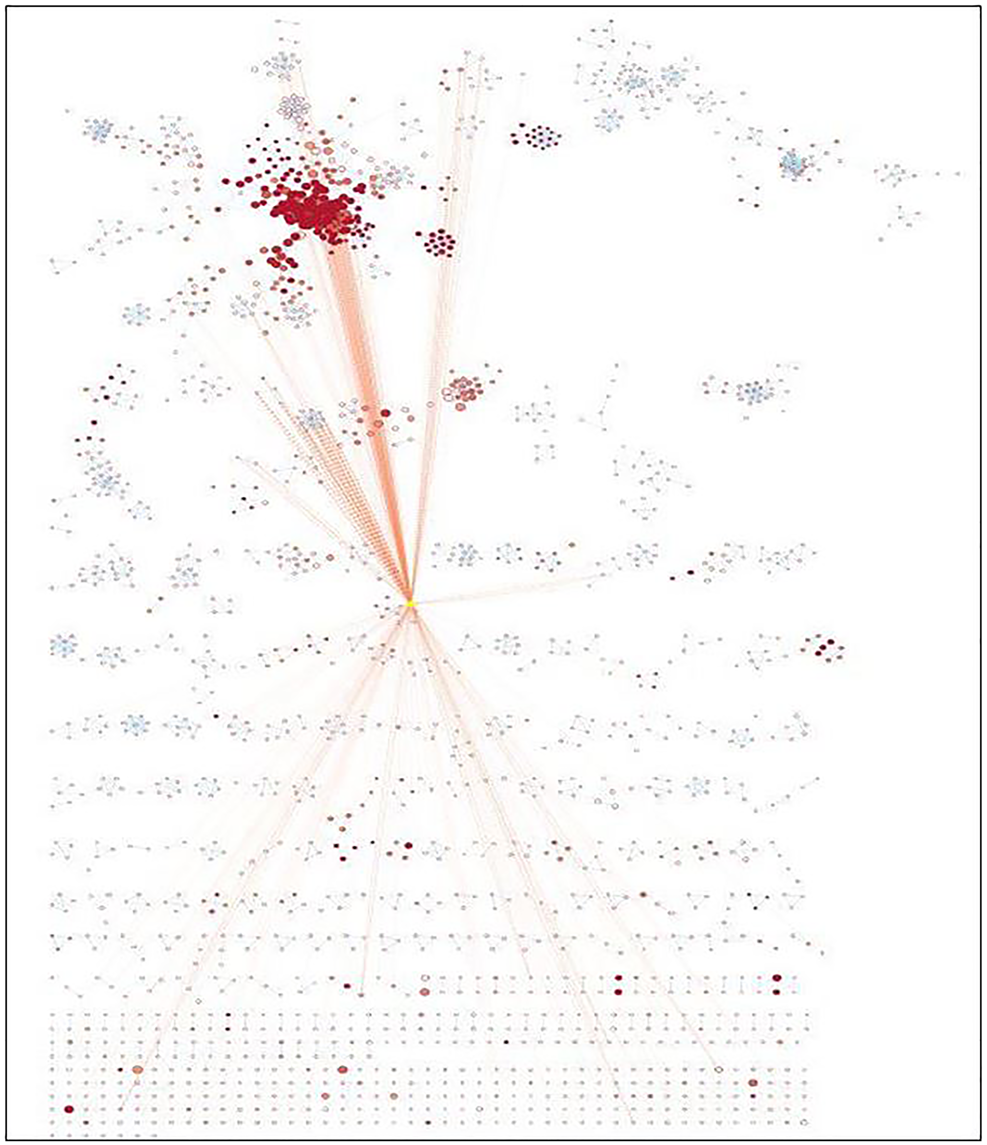 Enrichment map generated for identified miRNAs