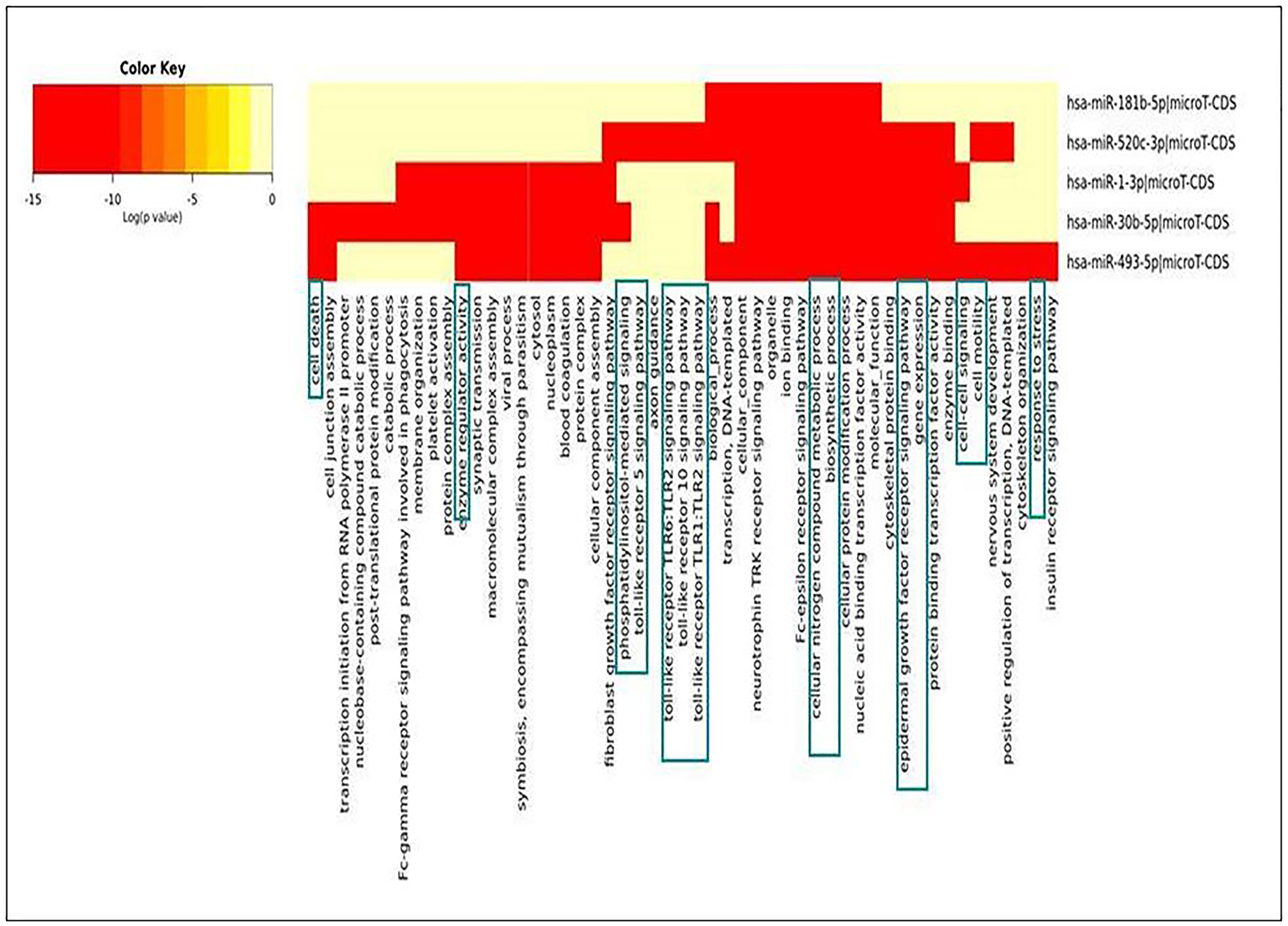 Heat-map generated for identified down-regulated miRNAs during NSCLC