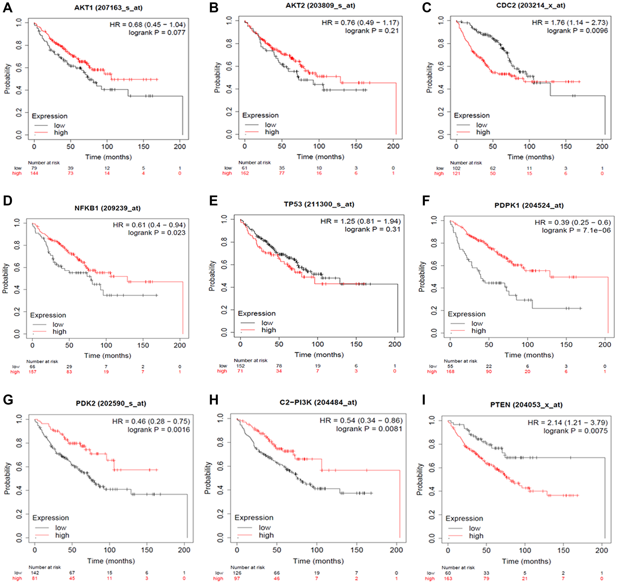 Expression Plots of (A) AKT1, (B) AKT2, (C) CDC2, (D) NFKB1, (E) TP53, (F) PDK1, (G) PDK2, (H) PI3K and (I) PTEN, respectively. The Kaplan Meier Plotter database evaluated the predictive impact of AKT1, AKT2, CDC2, NF-κB, TP53, PDPK1, PDK2, PI3K and PTEN expression NSCLC development. The red line indicates patients with expressions above the median, whereas the black line indicates patients below.