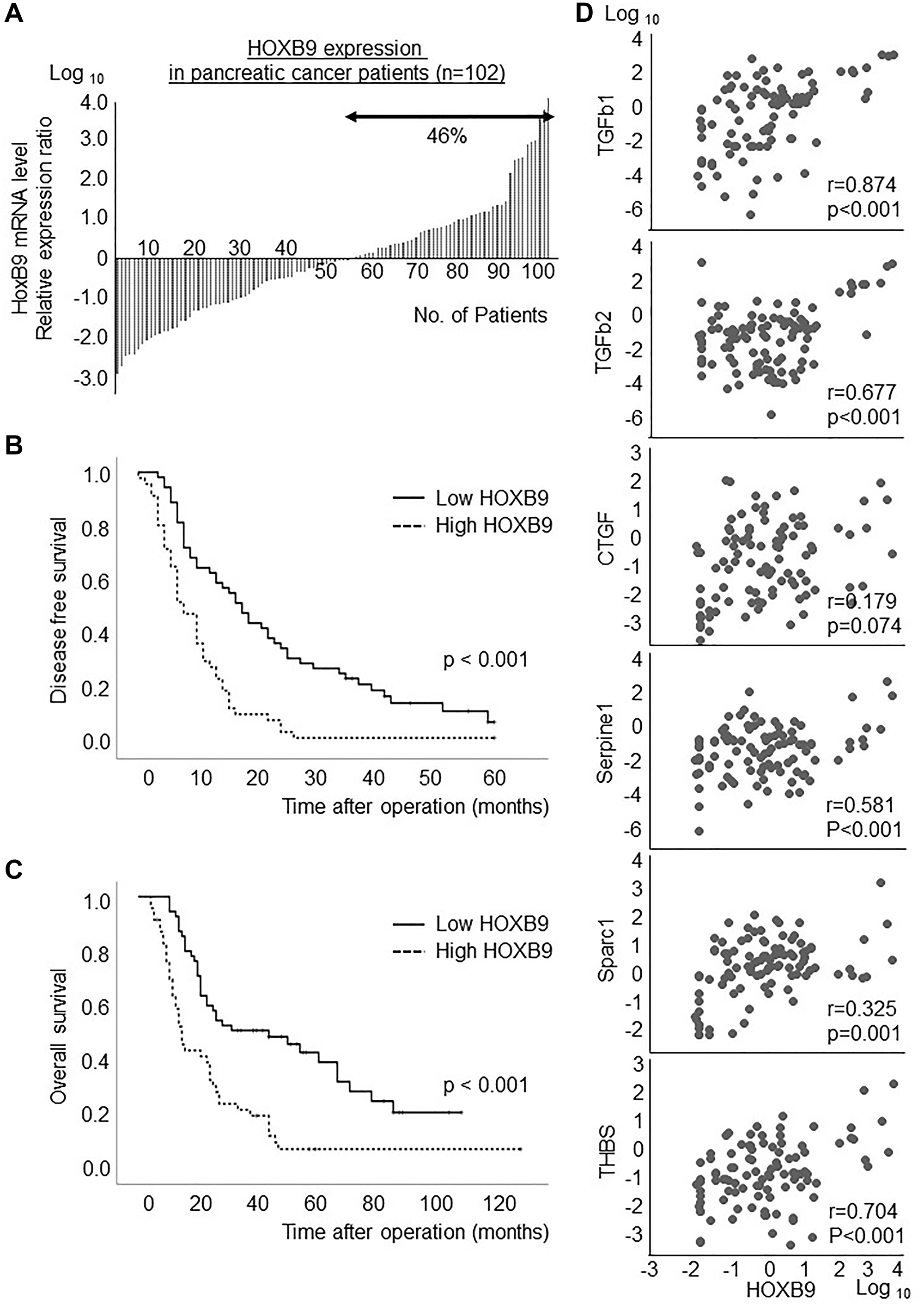 HOXB9 expression in PDAC patients