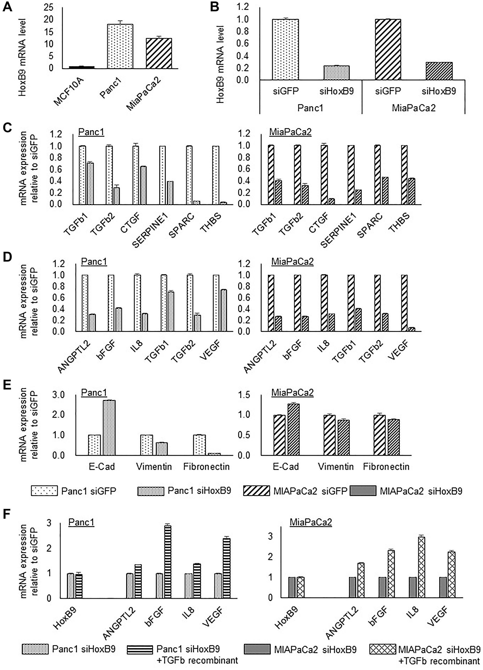 HOXB9 regulates the expression of TGFβ1 signature, angiogenic factors, and EMT markers