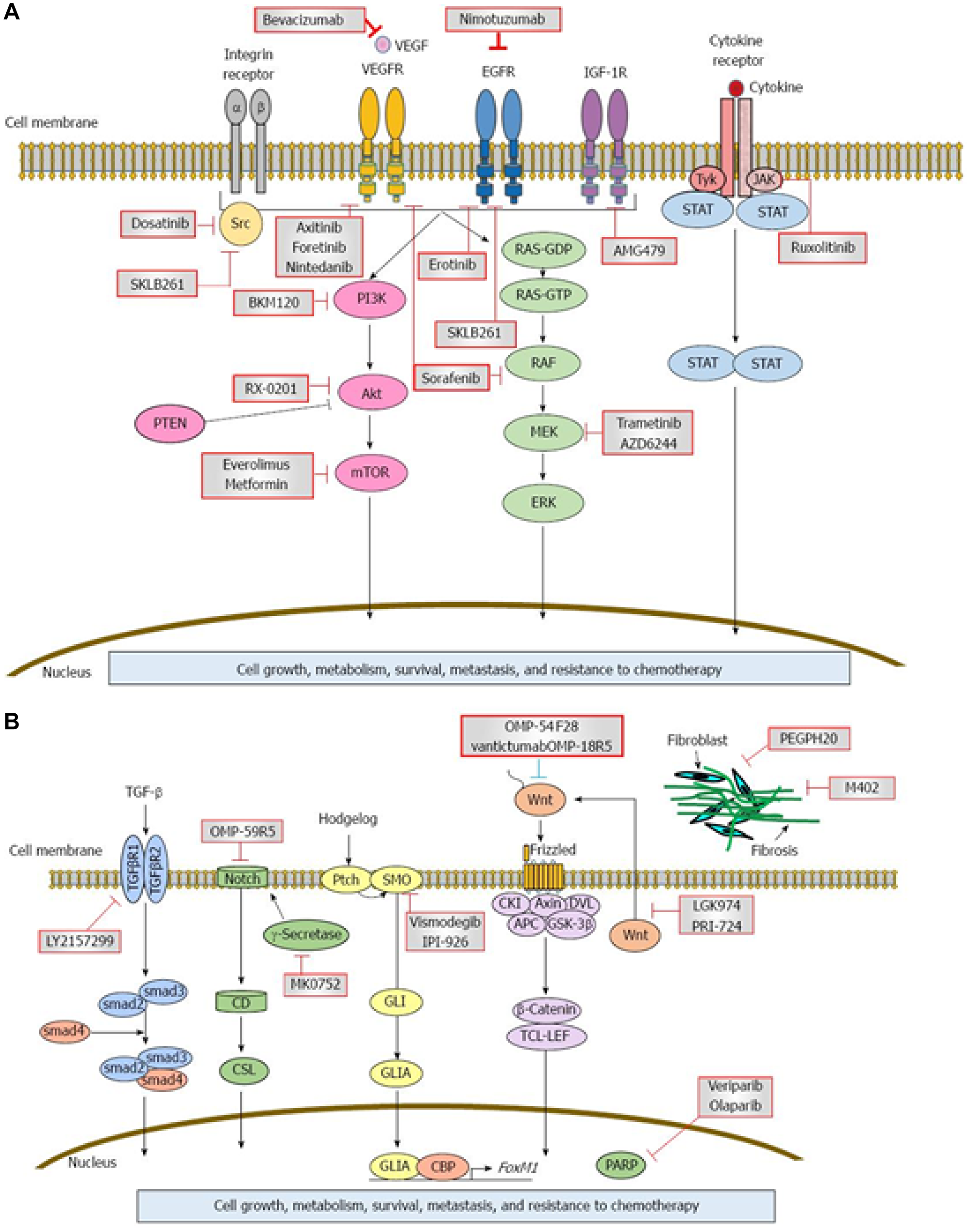 Signaling cascades and therapeutic inhibitors in pancreatic adenocarcinoma (PDAC)