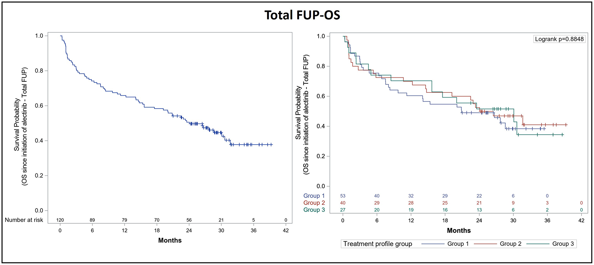 Kaplan-Meier curve for overall survival after total follow-up of ALK+ NSCLC patients treated with alectinib
