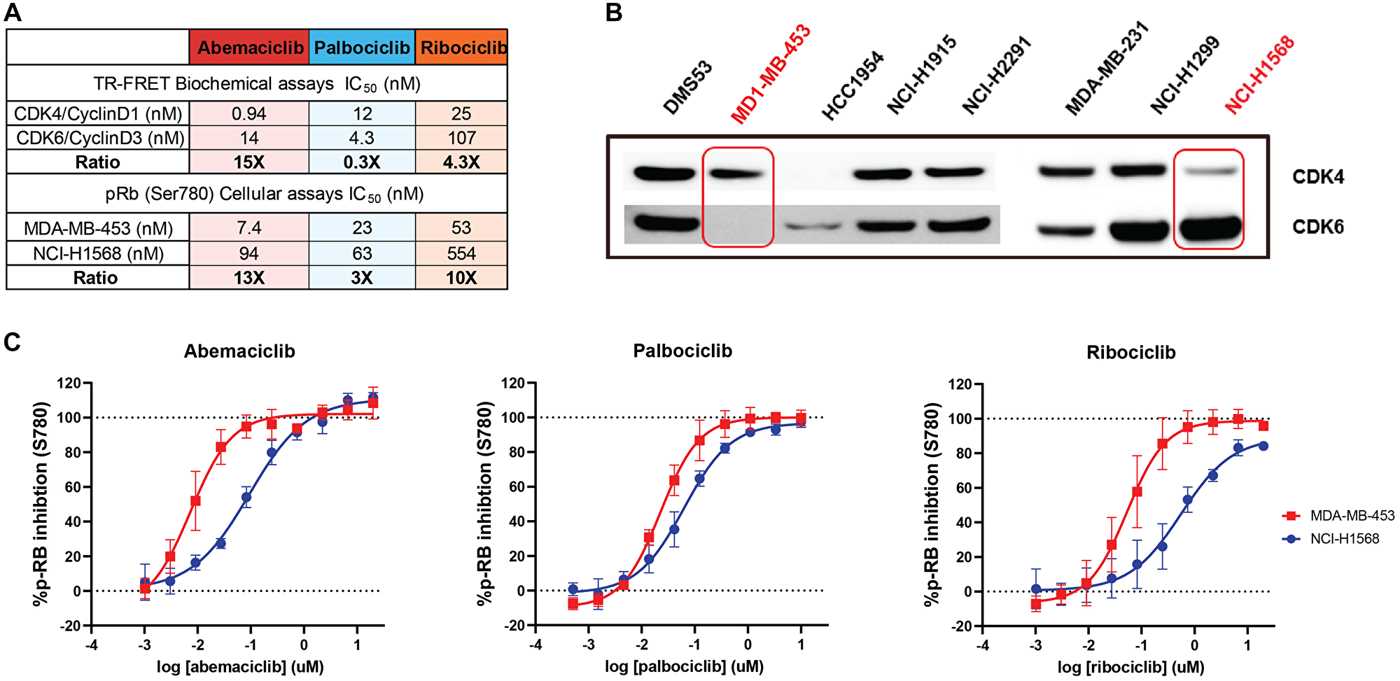 Abemaciclib is a more potent inhibitor of CDK4 than CDK6 in both biochemical and in vitro cell-based assays