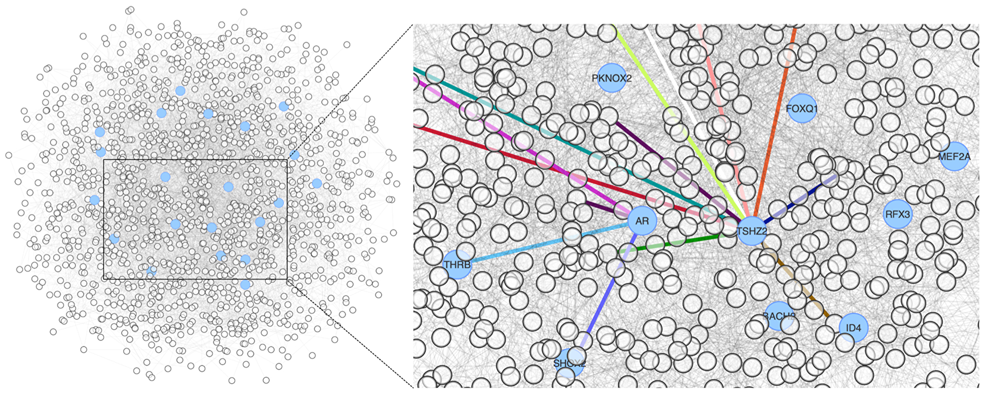 Epistasis network encoding the susceptibility to metastasis in our cohort