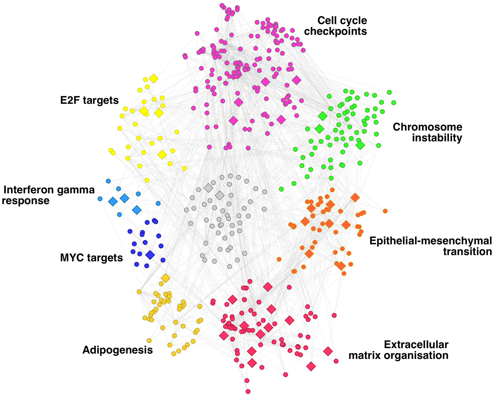Gene regulatory network of breast cancer metastasis