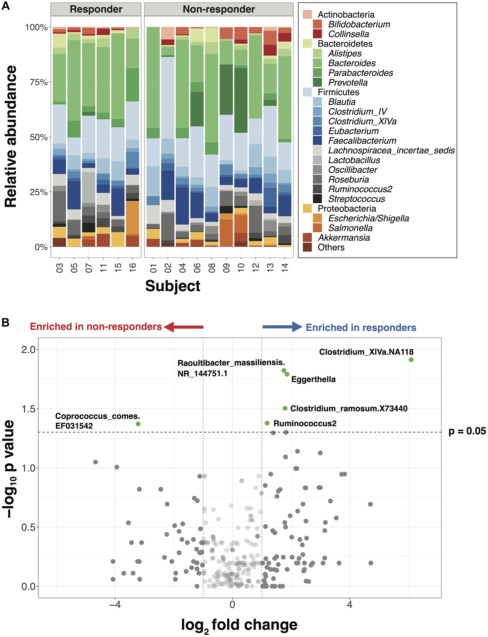 Major gut bacterial taxa of responders and non-responders from the NCI cohort