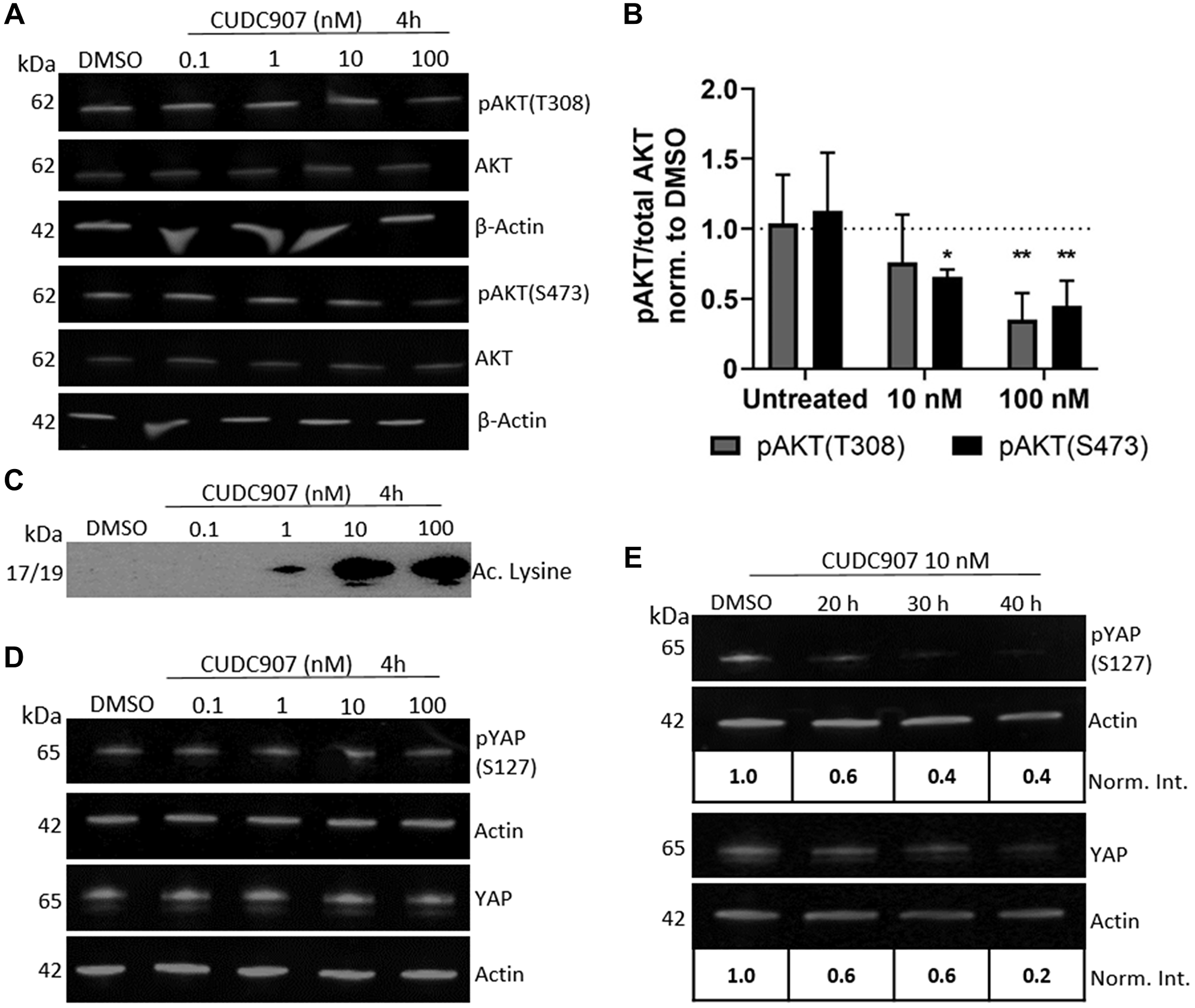 CUDC907 inhibits PI3K and HDAC activity in human MD-SC