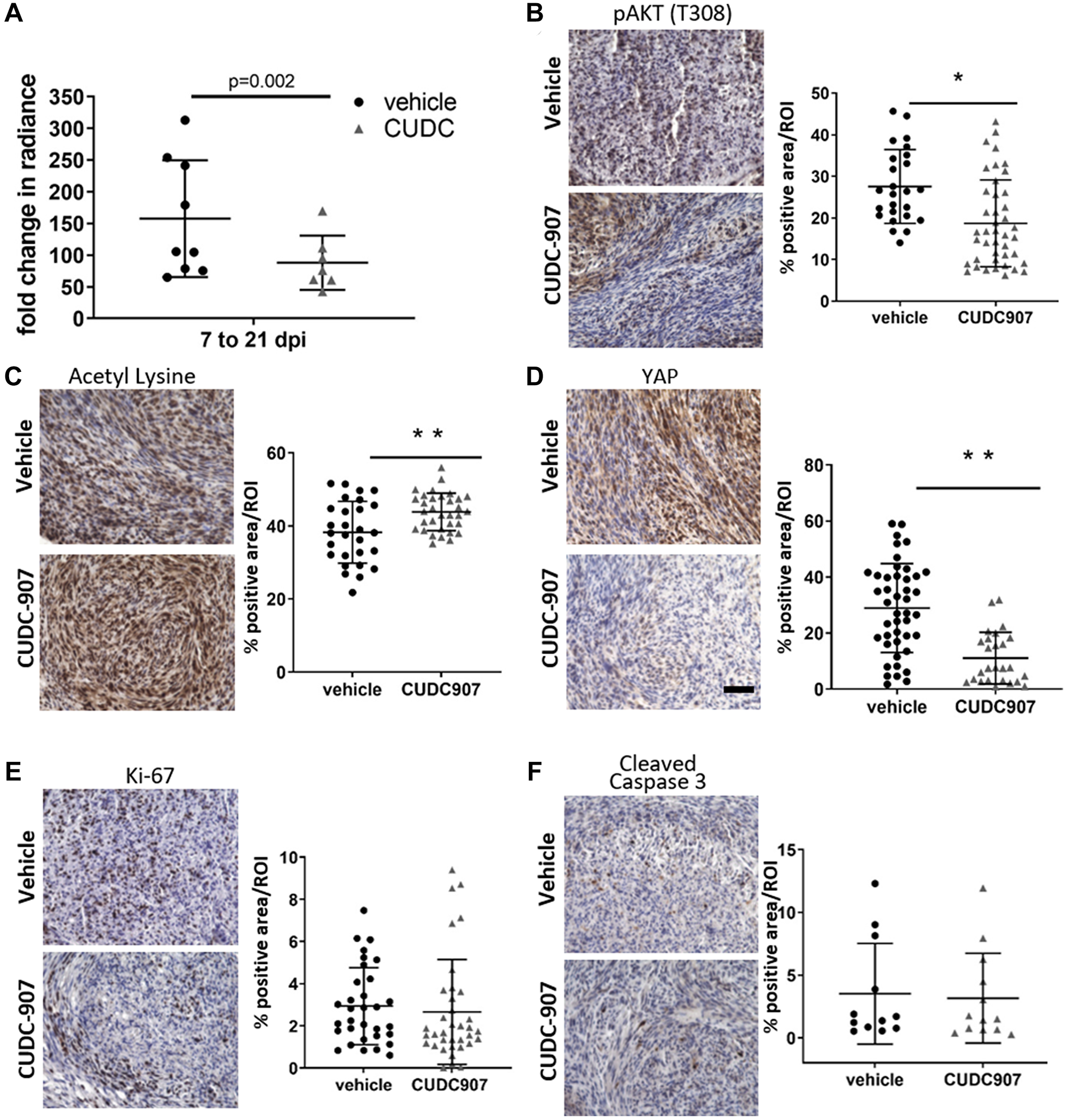 CUDC907 slows intraneural growth of mouse MD-SC