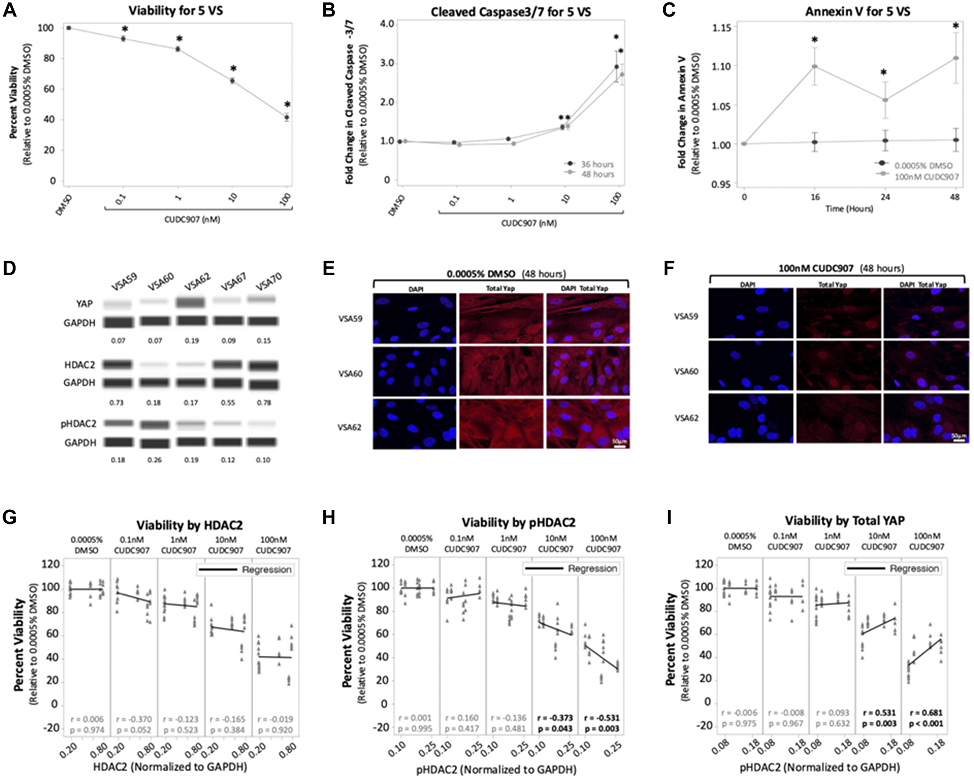 CUDC907 reduces viability and induces caspase cleavage in vestibular schwannomas