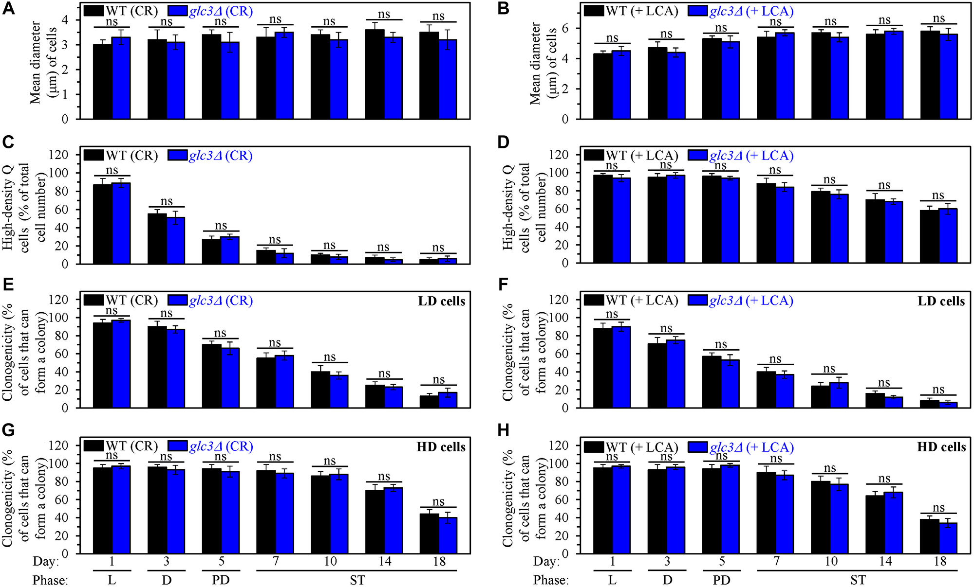 The glc3Δ-dependent decline in glycogen concentration does not affect processes 1, 2, 3 and 4 either in yeast cultured under caloric restriction (CR) conditions without LCA or in yeast cultured under non-CR conditions with lithocholic acid (LCA)