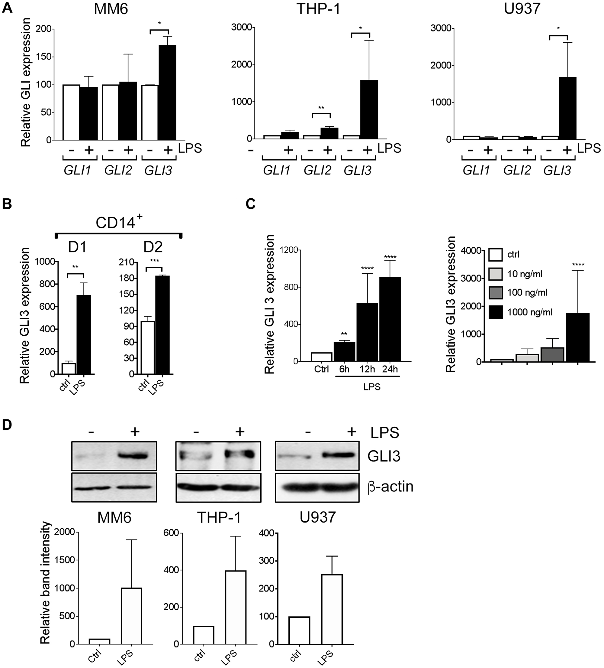 LPS induces GLI3 expression in a HH independent manner