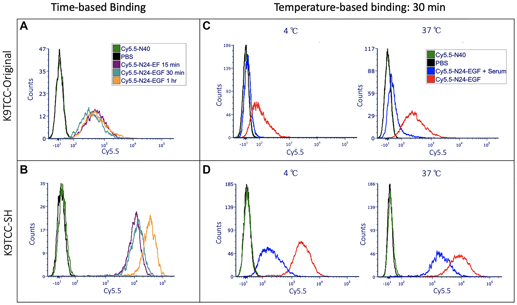 Time and temperature based in vitro binding studies of ELP constructs with K9TCC-Original (low EGFR) and K9TCC-SH (high EGFR)