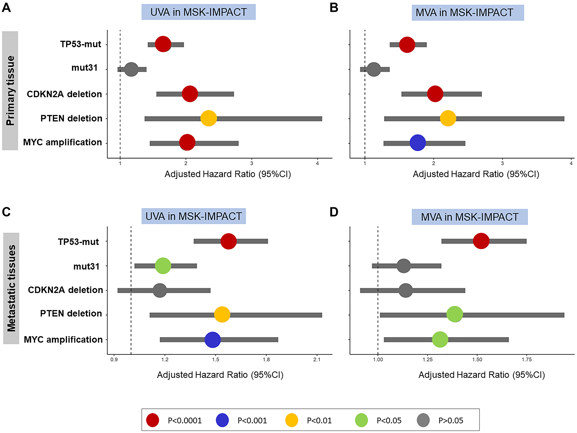In MSK-IMPACT validation cohort, TP53-mutations, CDKN2A-deletion, PTEN-deletion, and MYC-amplifications are independent predictors of poor OS in primary tumors in (A) UVA and (B) MVA. Only TP53- mutations, PTEN-deletion, and MYC-amplification are prognostic of OS in metastatic tumors in (C) UVA and (D) MVA.
