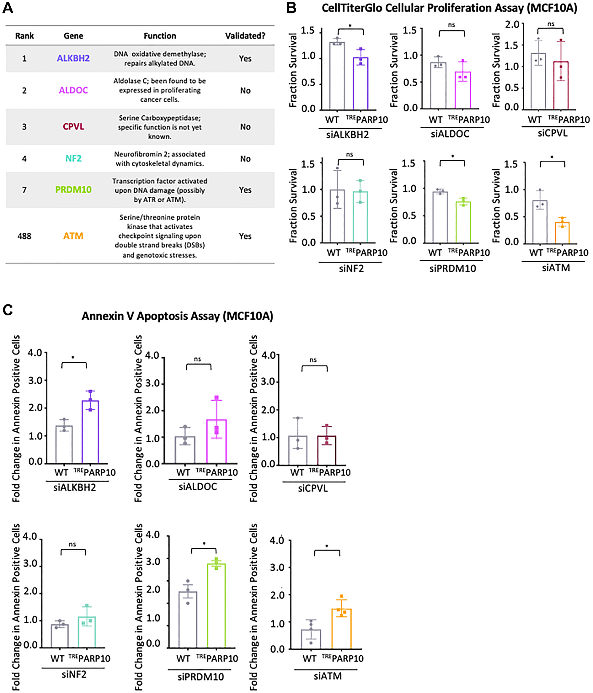 Validation of the top hits from the CRISPR screen for genetic determinants of proliferation of PARP10-overexpressing cells