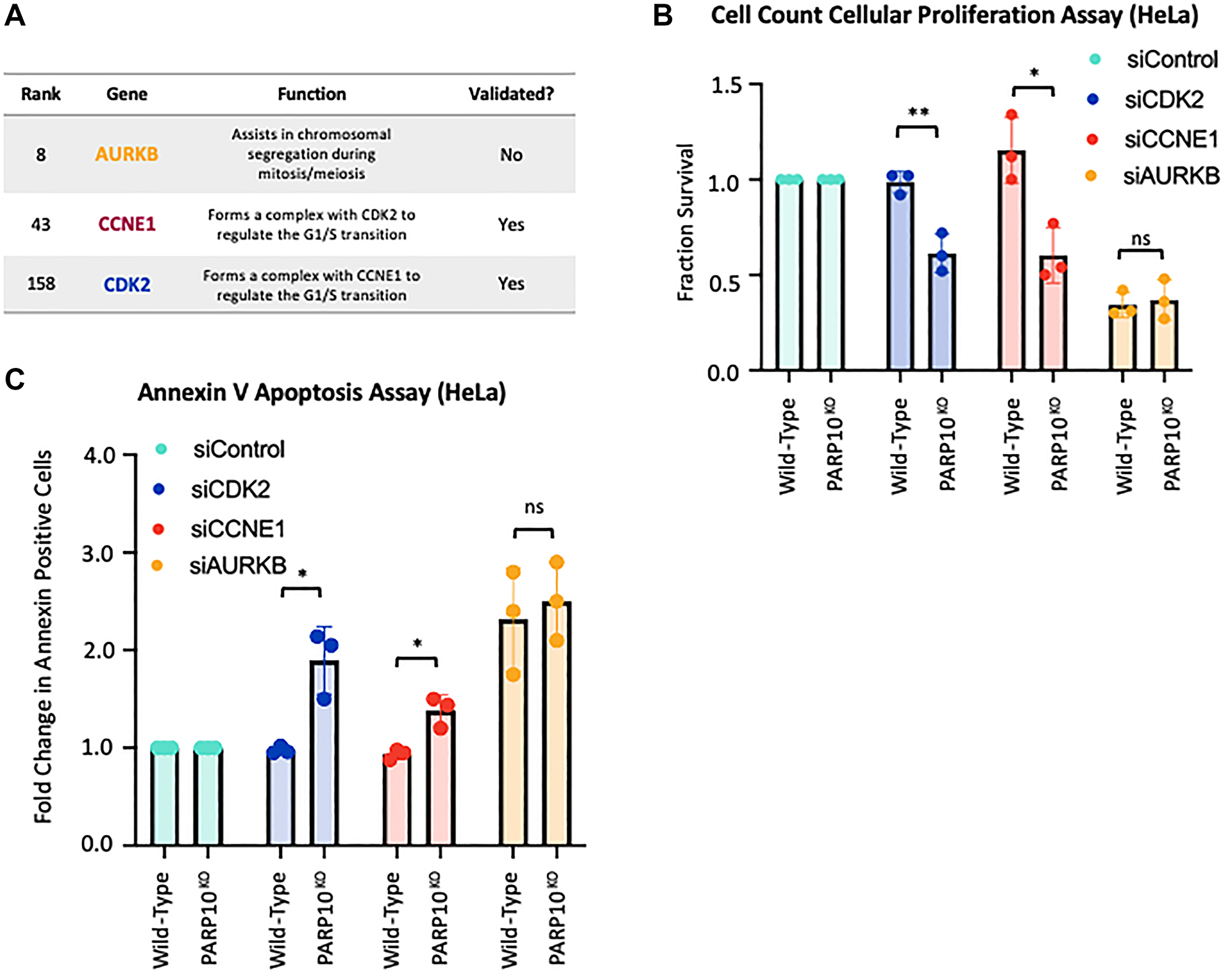 Validation of the top hits from the CRISPR screen for genetic determinants of proliferation of PARP10-knockout cells
