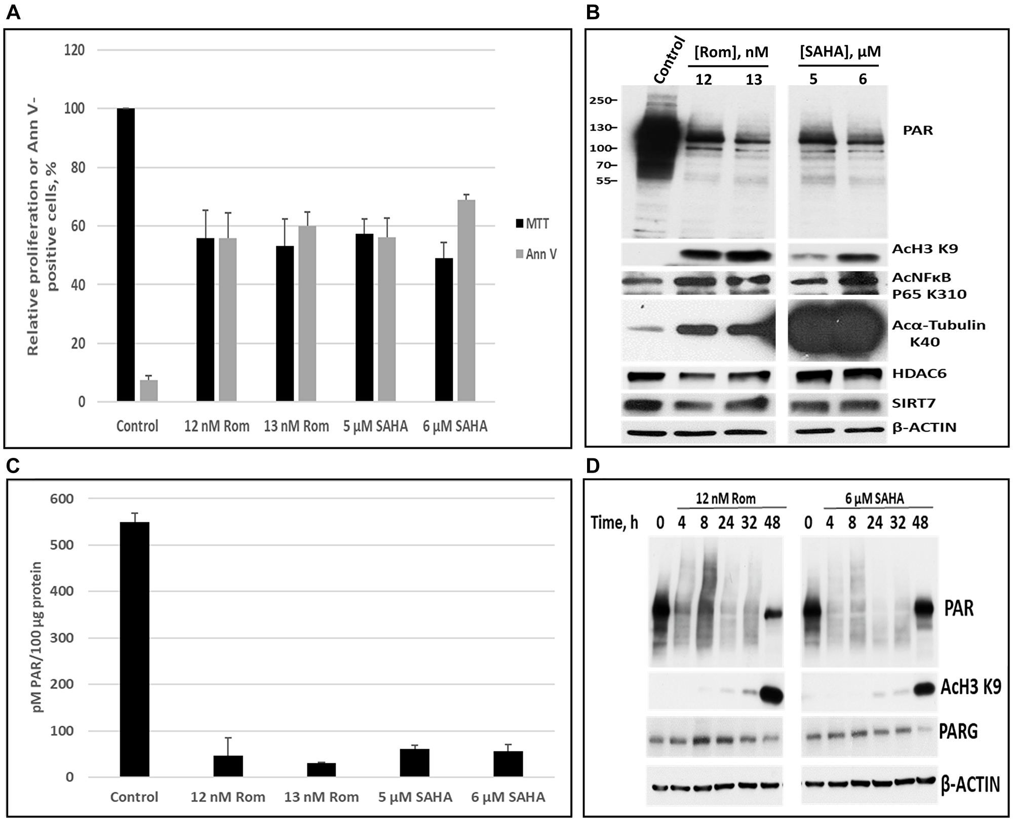 Comparison of the effects of romidepsin (Rom) and SAHA on protein poly(ADP-ribosyl)ation in the PEER T-cell leukemia cell line