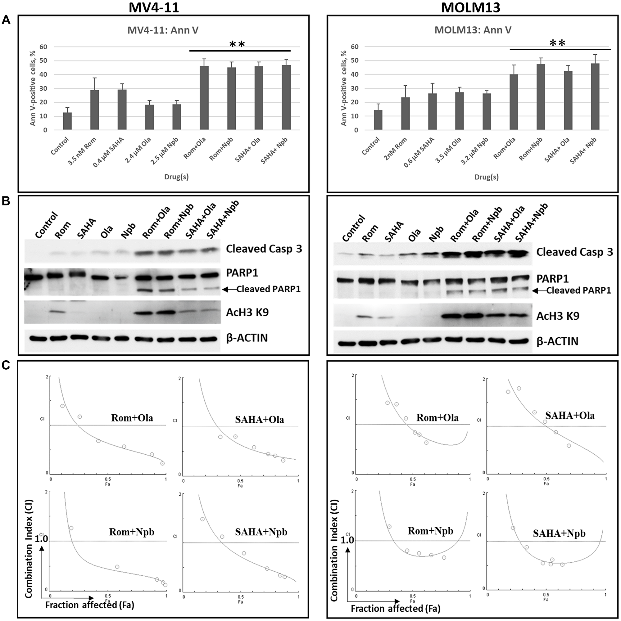 Synergistic cytotoxicity of HDAC and PARP inhibitors