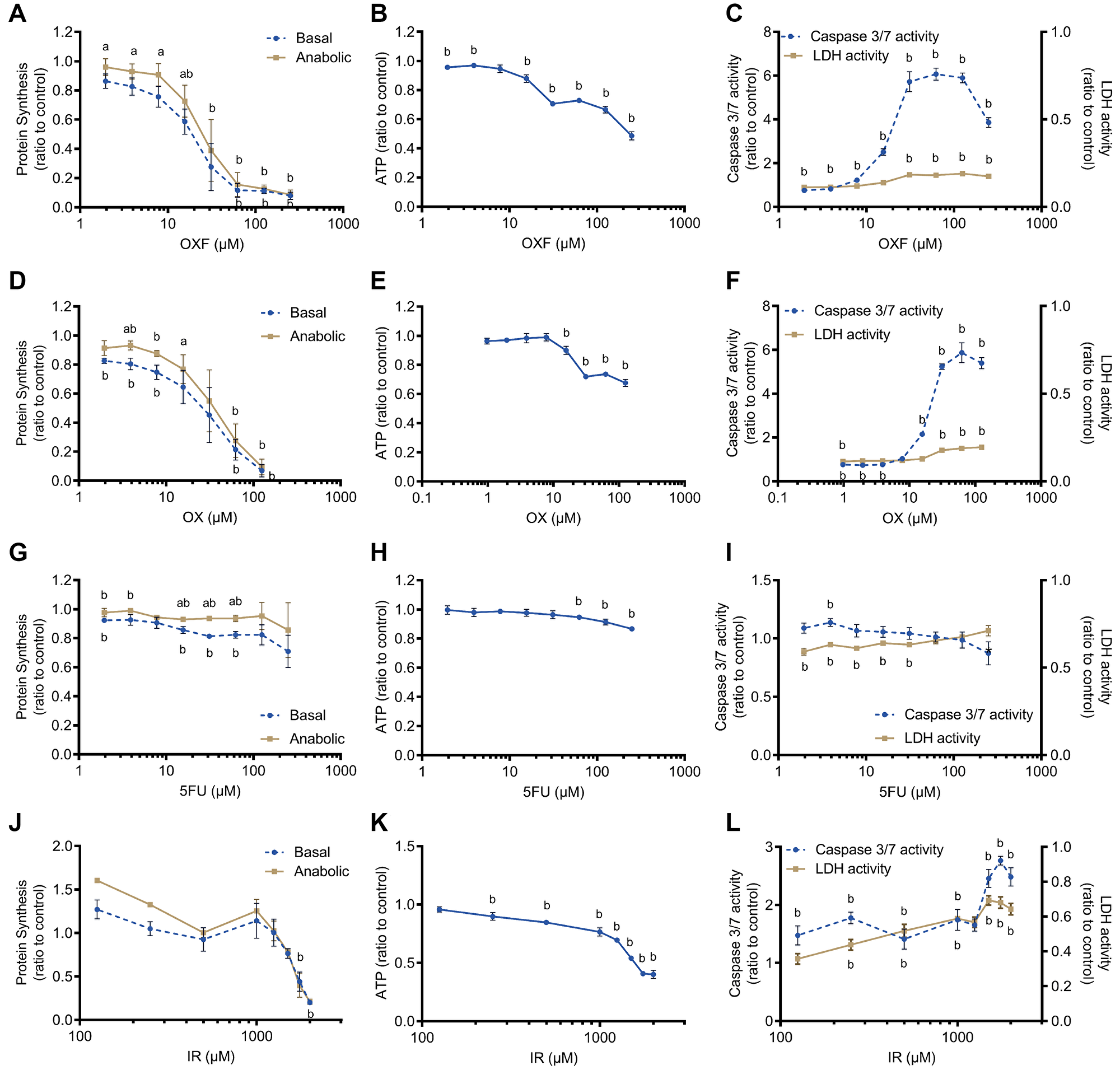 Effect of chemotherapy treatments on C2C12 myotubes