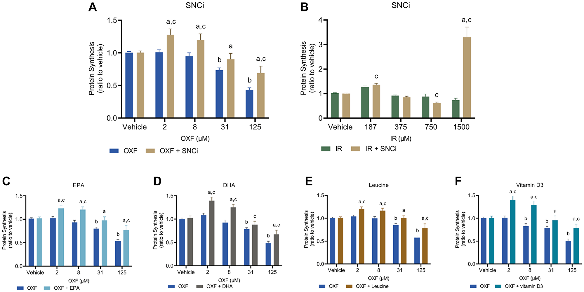 Basal protein synthesis in C2C12 myotubes after 48 h chemotherapy treatment with individual nutrients or SNCi