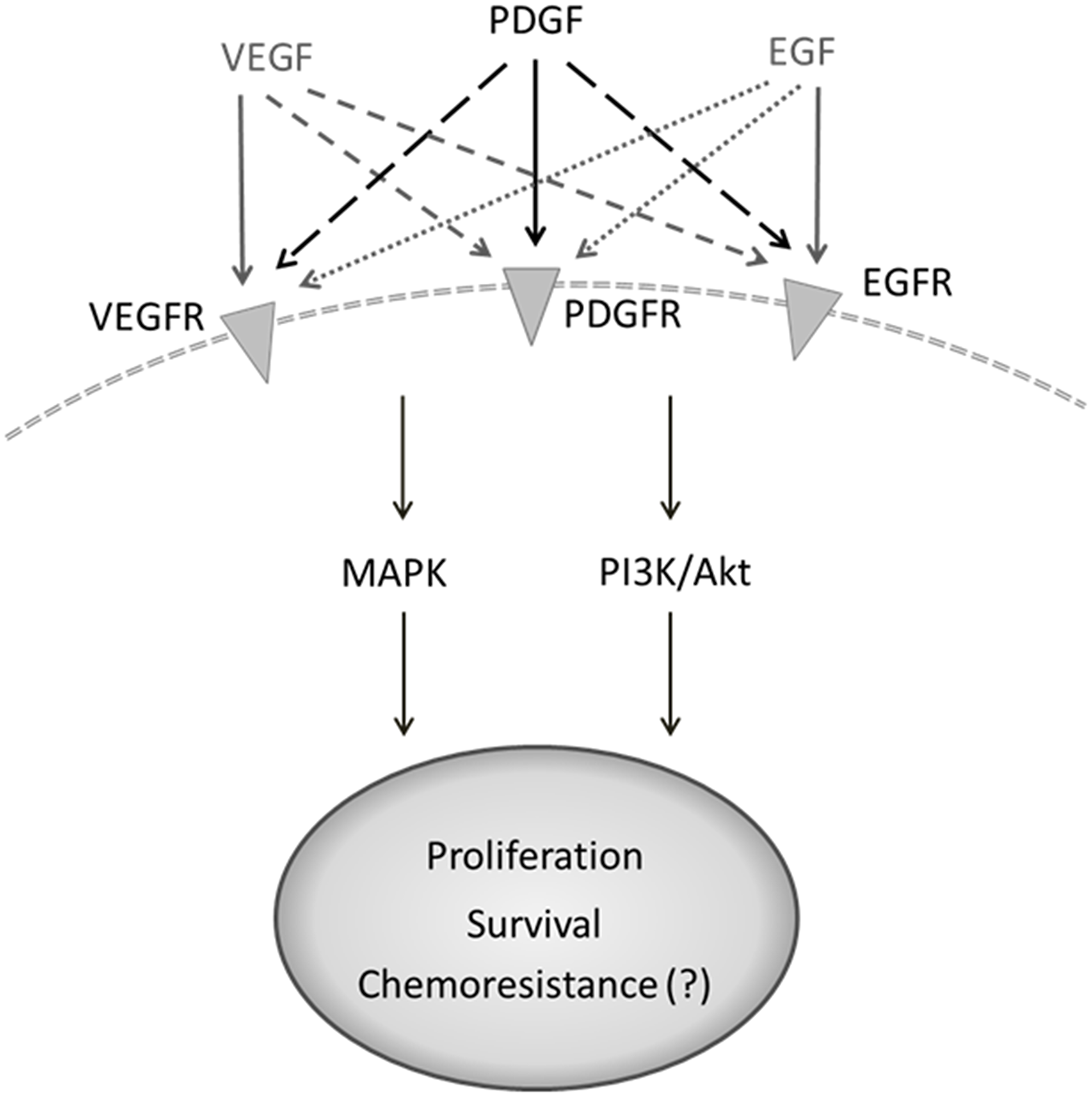 Suggested crosstalk of PDGF with alternative binding partners on tumor cell surface