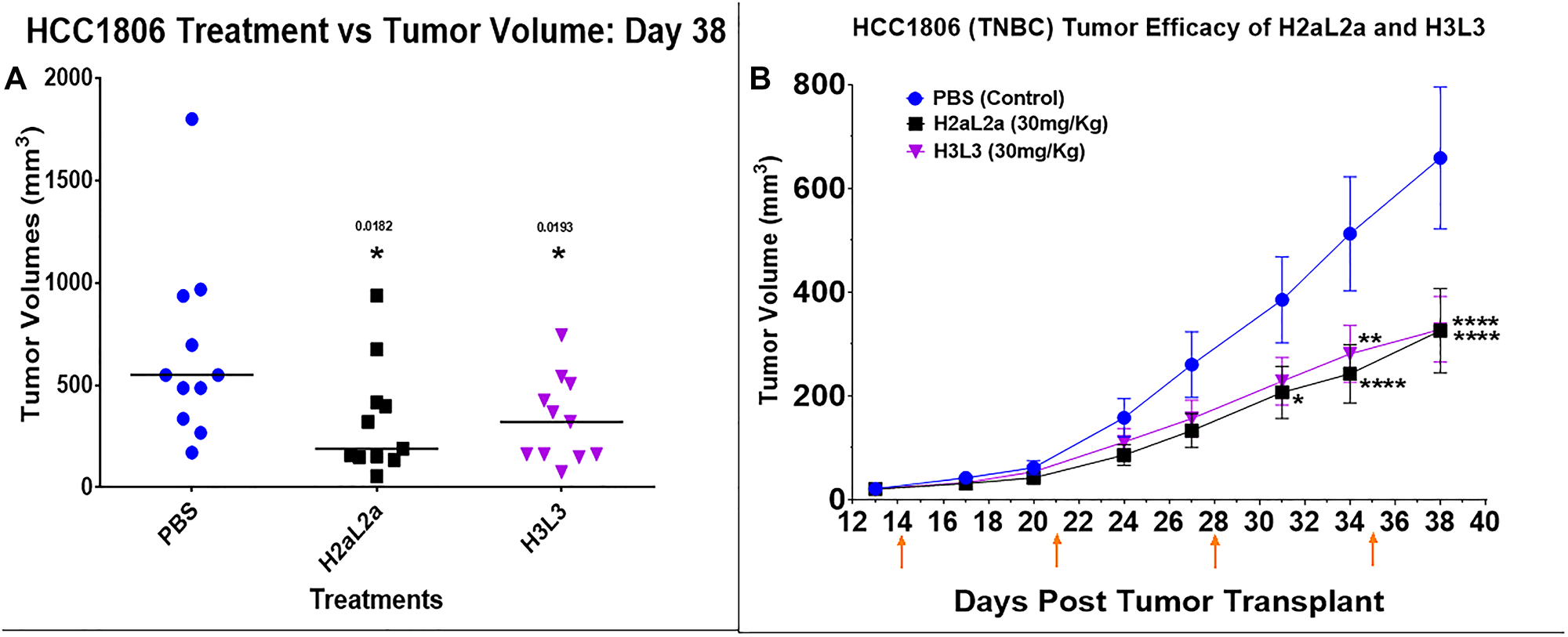 Efficacy of hJAA-F11- H2aL2a and - H3L3 in the HCC-1806 human triple negative breast cancer SCID mouse xenograft model