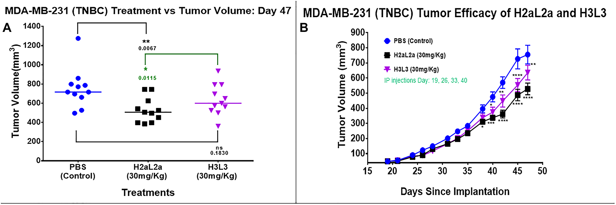 Efficacy of hJAA-F11- H2aL2a and - H3L3 in the MDA-MB-231 human triple negative breast cancer SCID mouse xenograft model