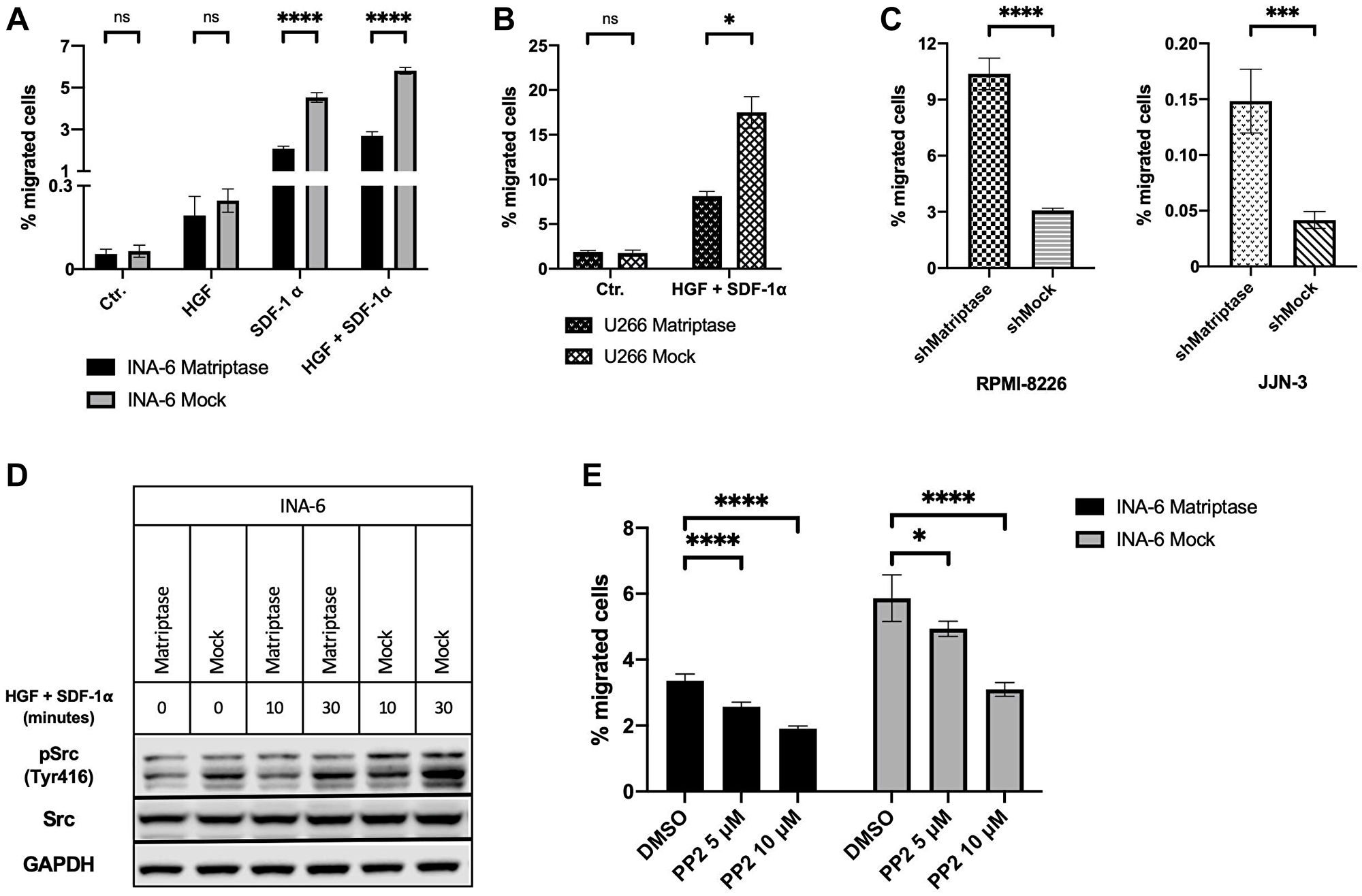 Matriptase inhibits migration in human myeloma cell lines