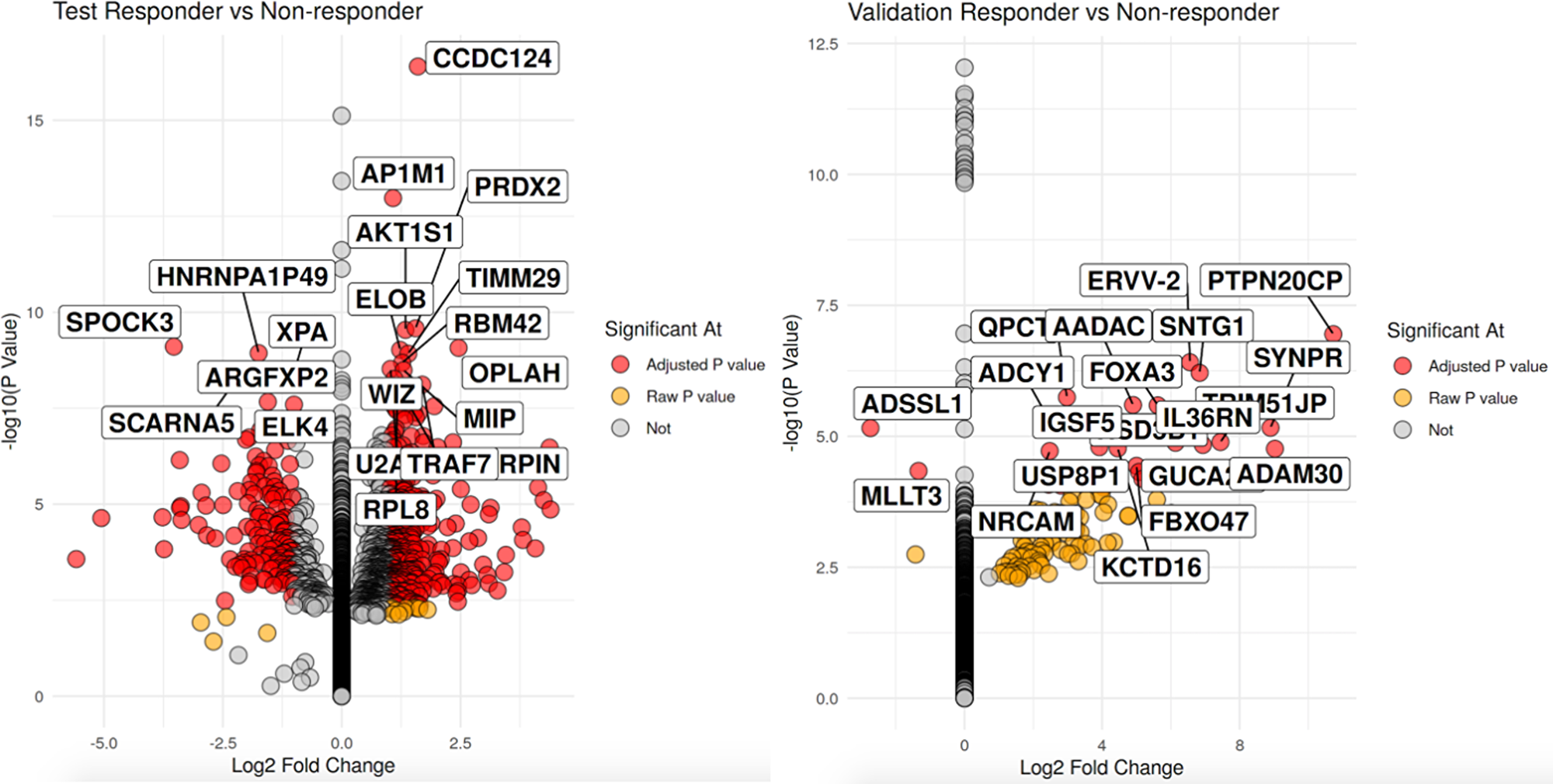 Volcano plot of significant differentially expressed genes with the left volcano being the discovery cohort and validation cohort on the right