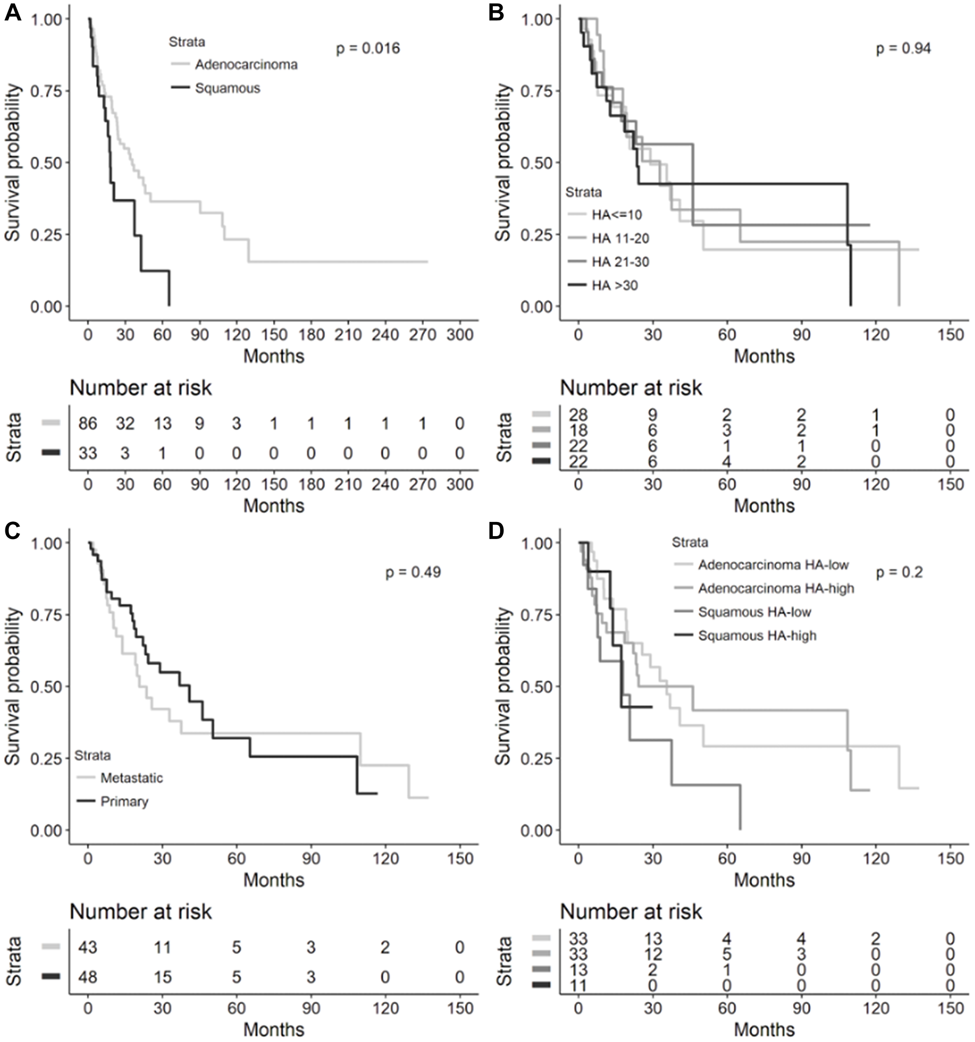 Overall survival in metastatic or recurrent NSCLC cohort
